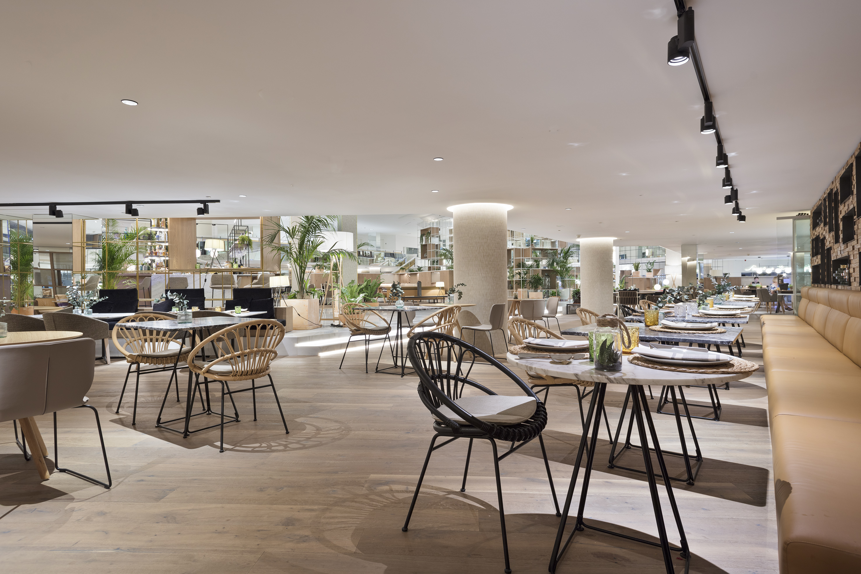 Contemporary restaurant interior, diverse seating, light wood floor, and greenery.