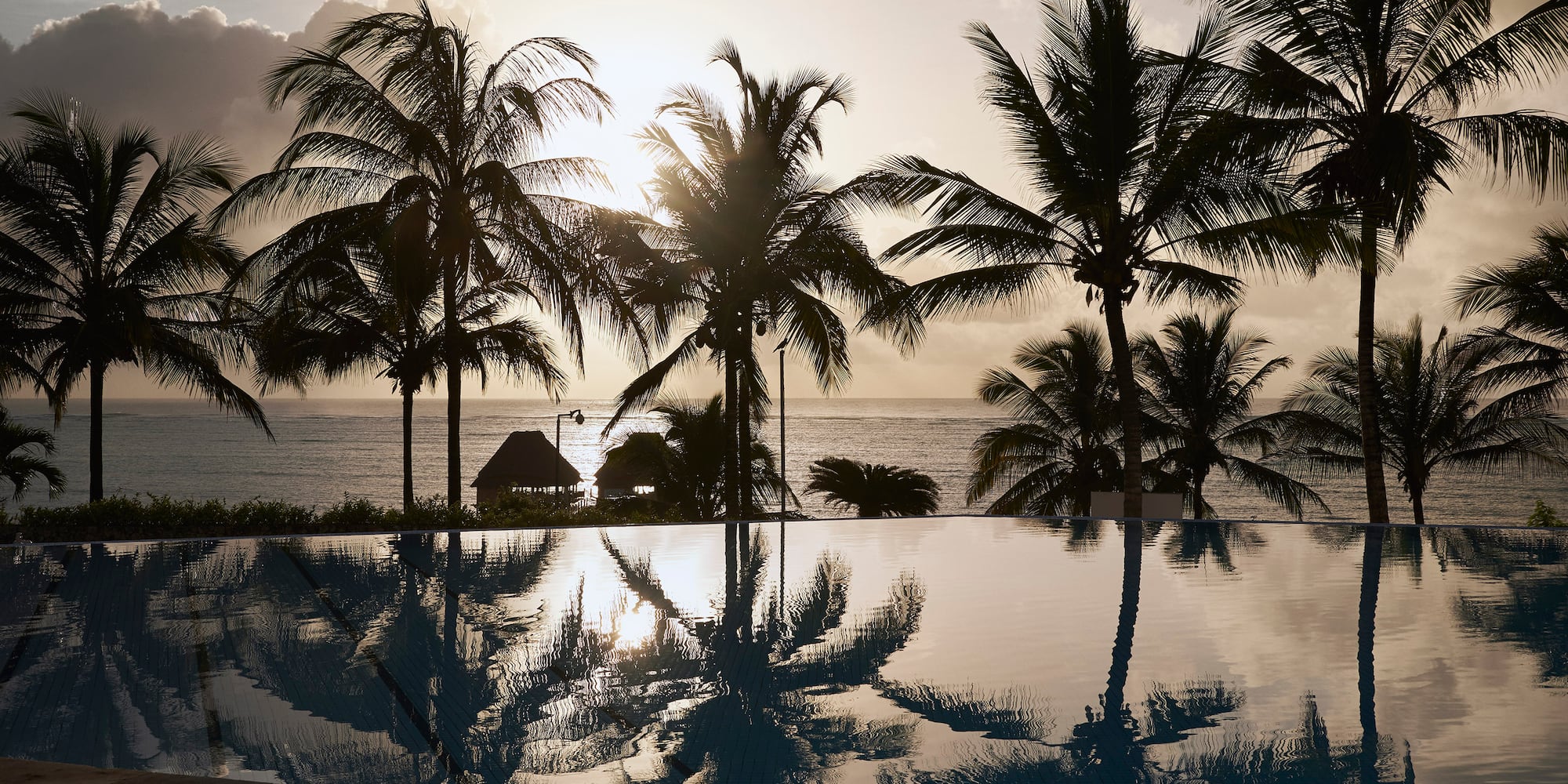 a pool with palm trees and a body of water