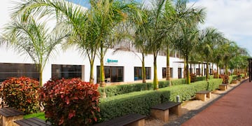 a building with palm trees and bushes