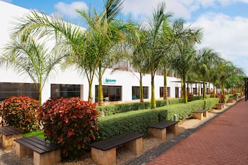 a building with palm trees and bushes