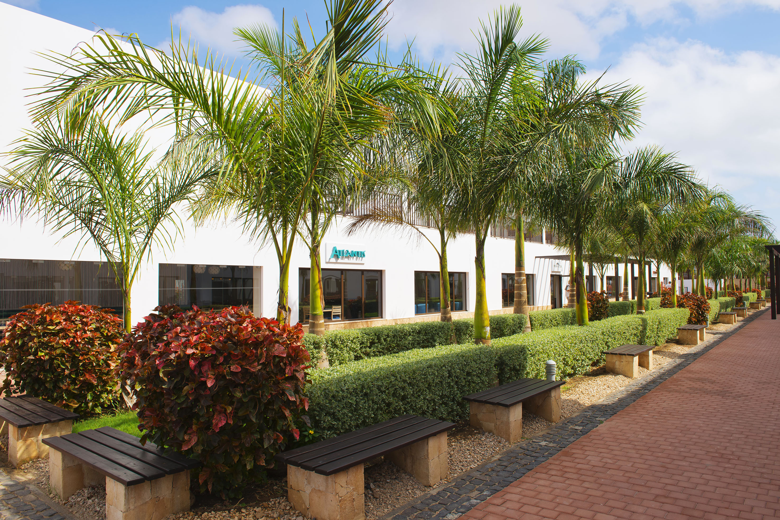 a building with palm trees and bushes