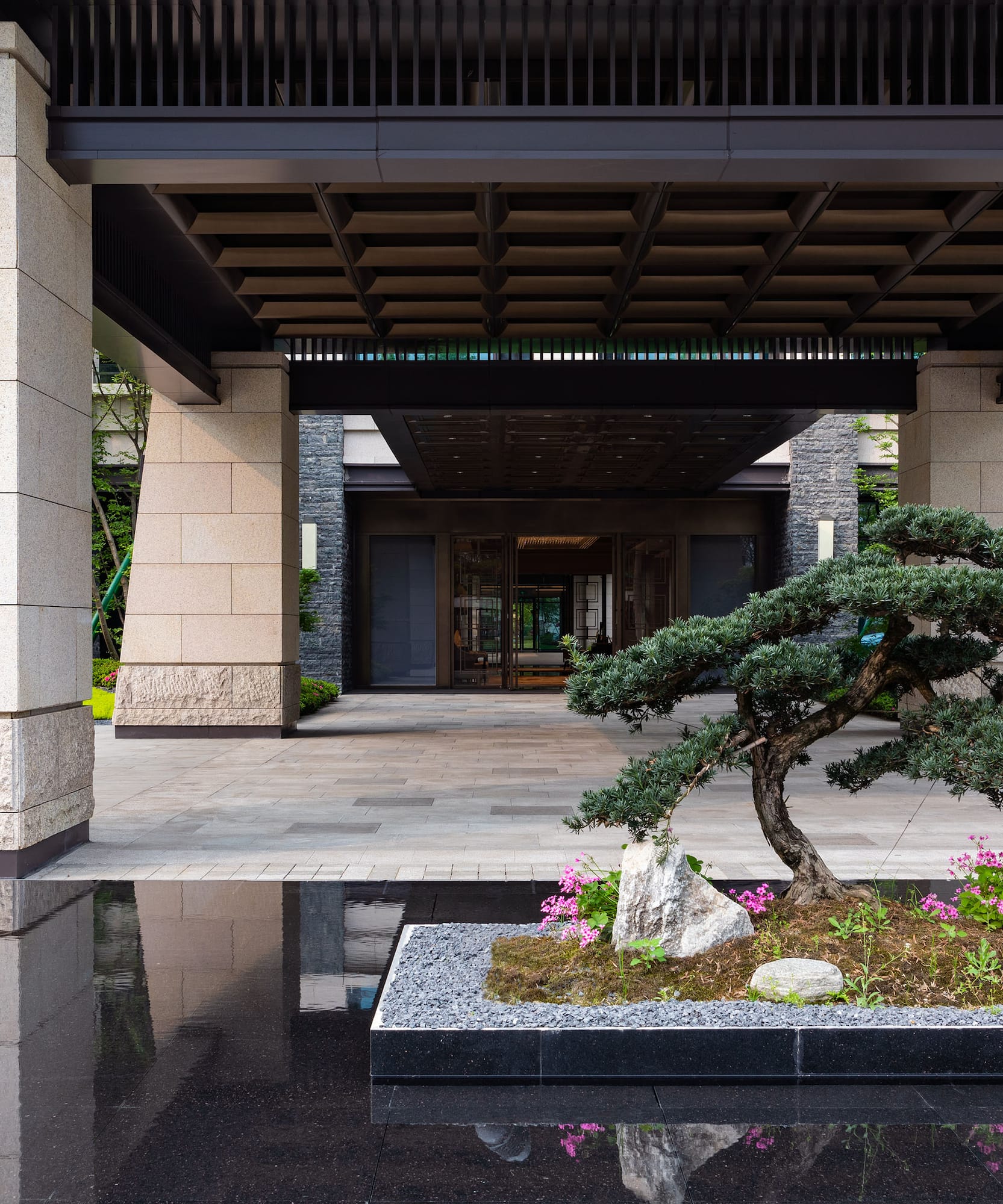 a tree in a pot in front of a building