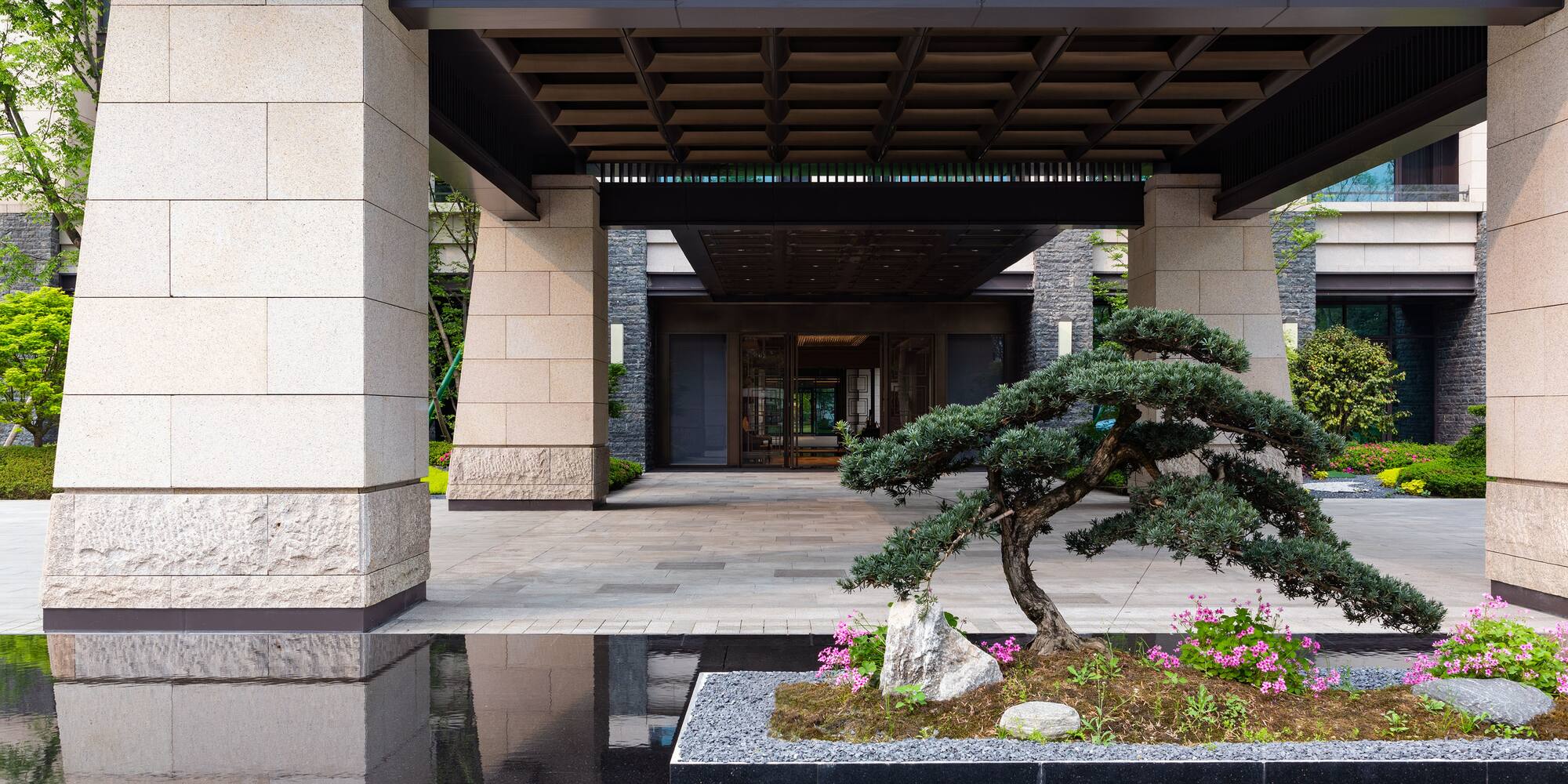 a tree in a pot in front of a building