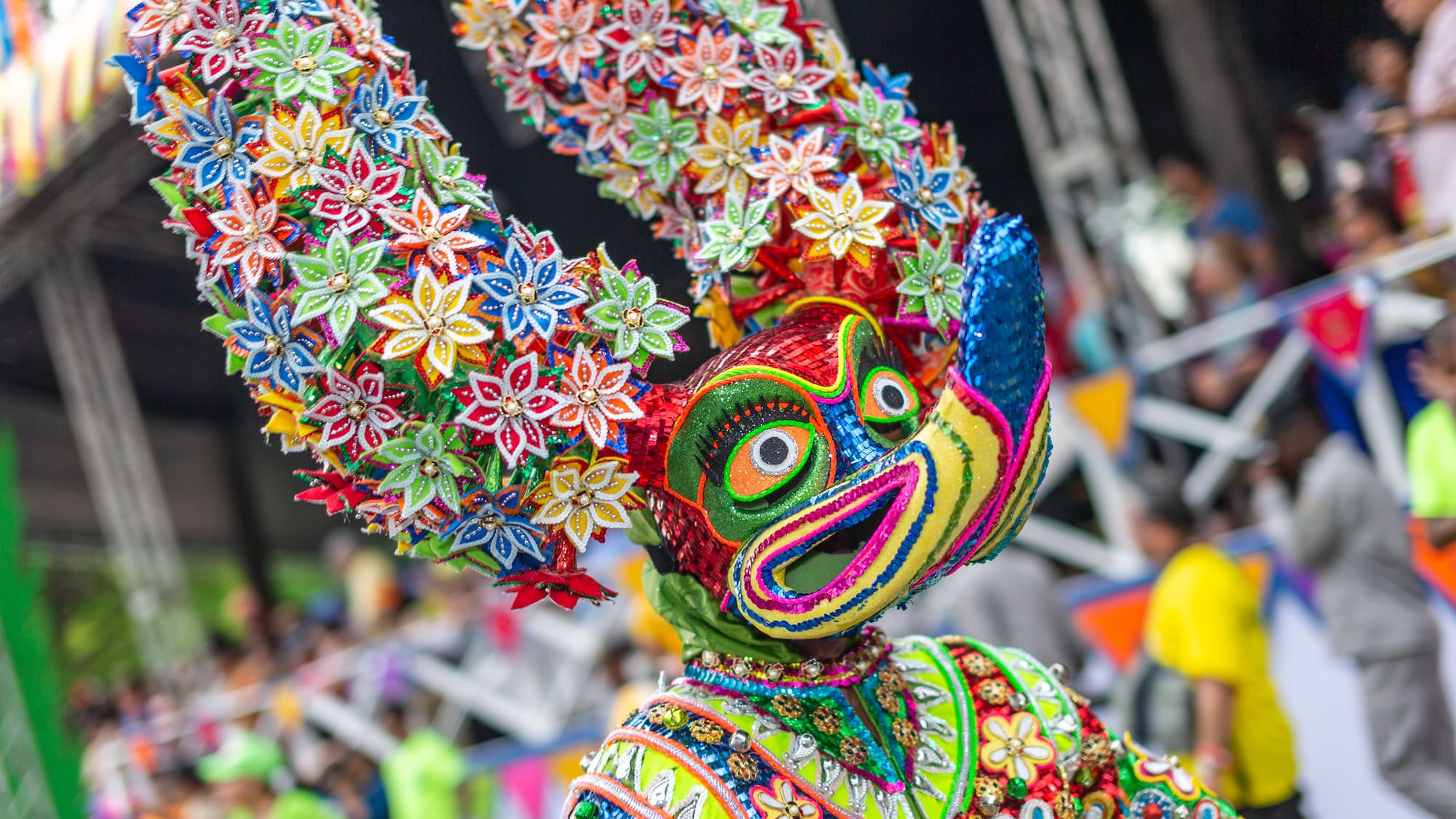 a person wearing a colorful garment