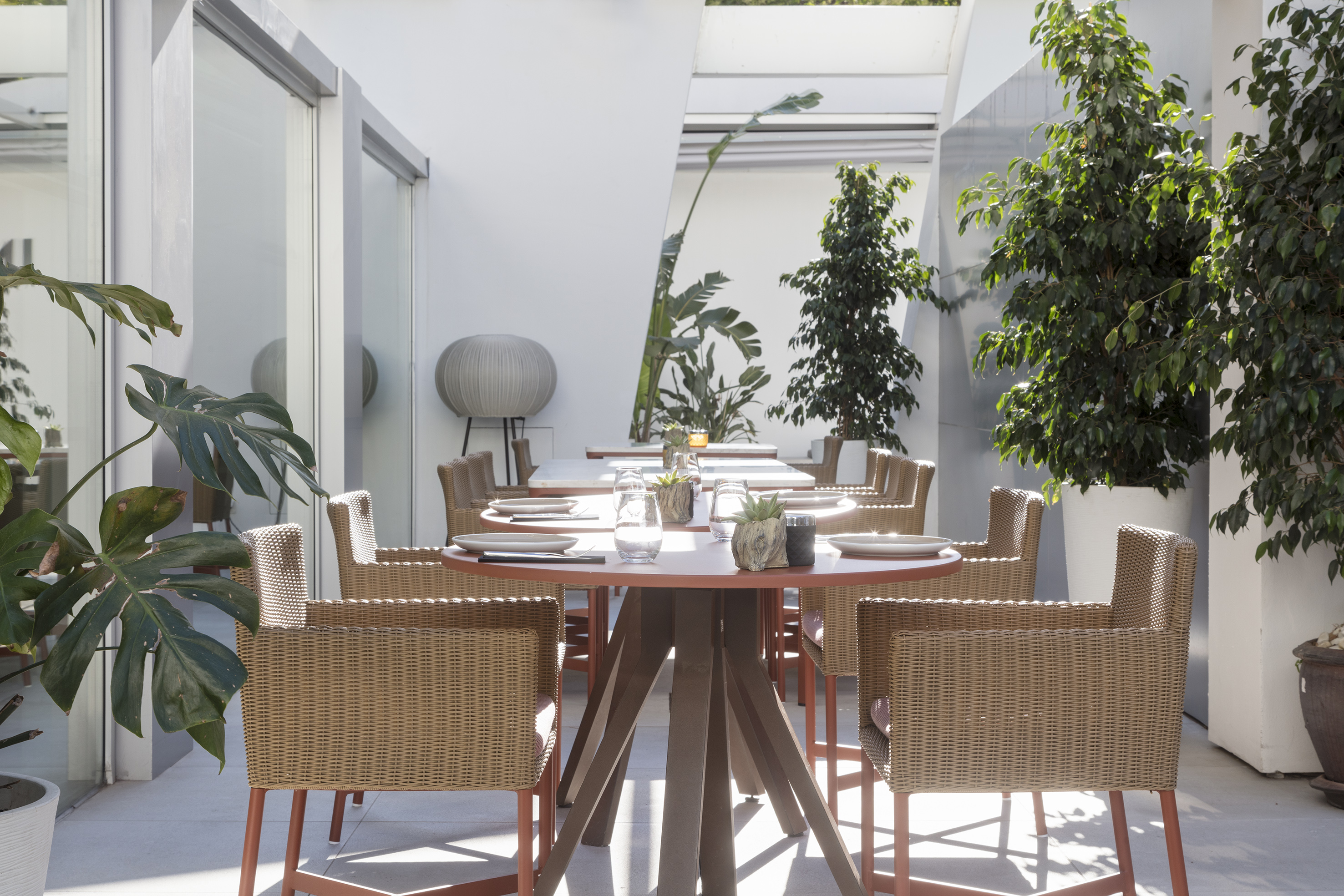 Modern outdoor dining patio with wicker chairs, dining tables, and lush green plants.