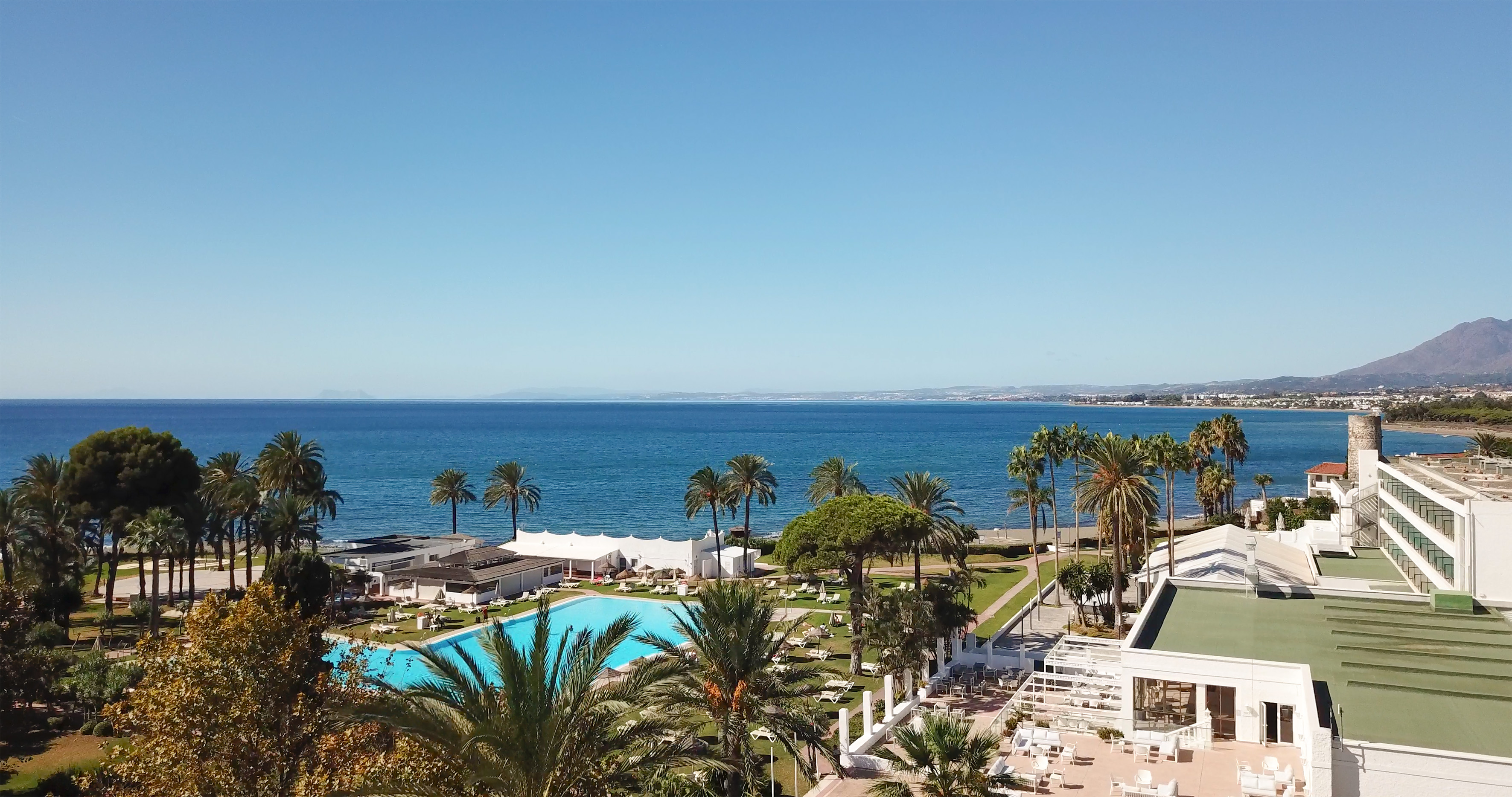 Coastal hotel with swimming pool, palm trees, and ocean views.