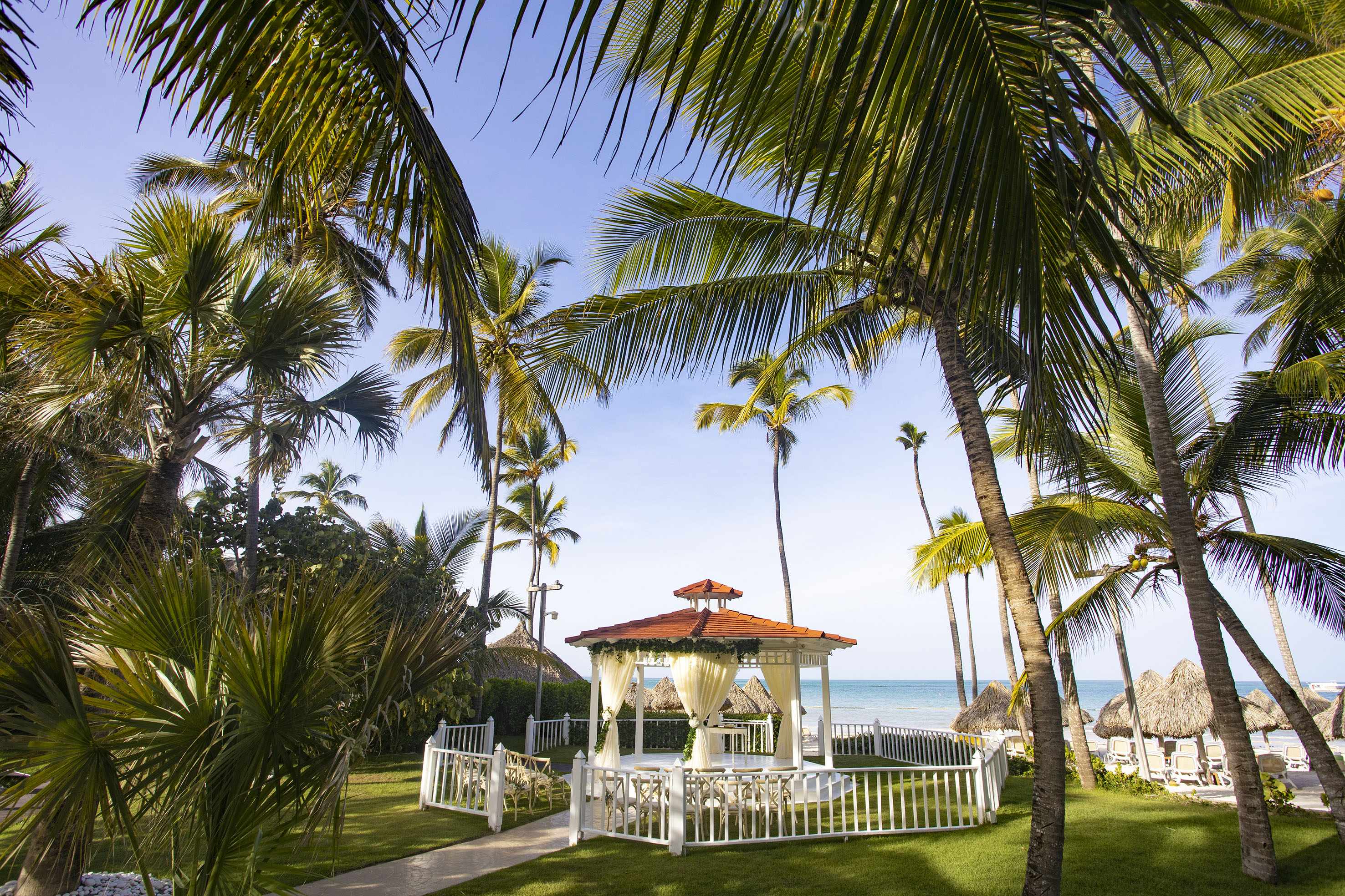 Tropical beach wedding gazebo surrounded by palm trees and ocean.