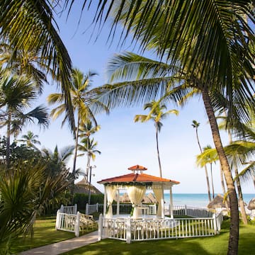 a gazebo surrounded by palm trees