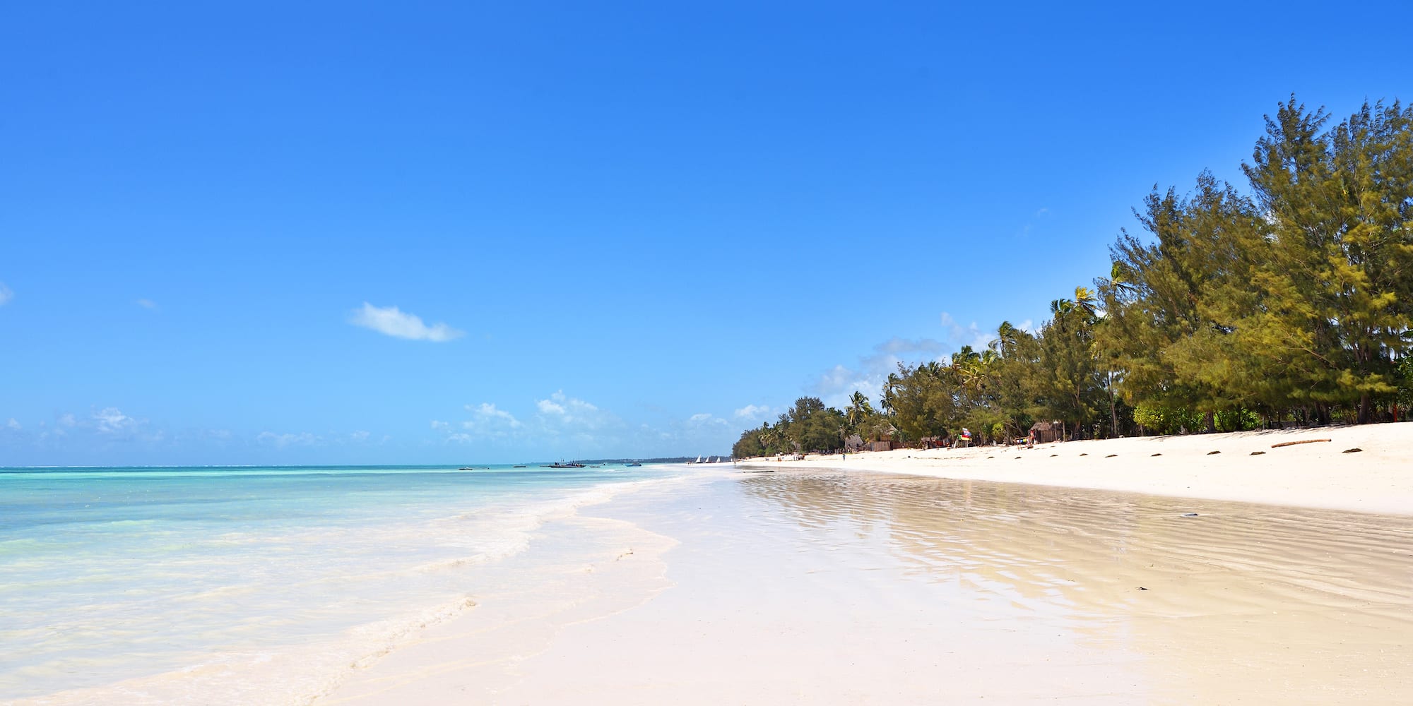 White sand tropical beach, clear turquoise ocean, palm trees, blue sky.