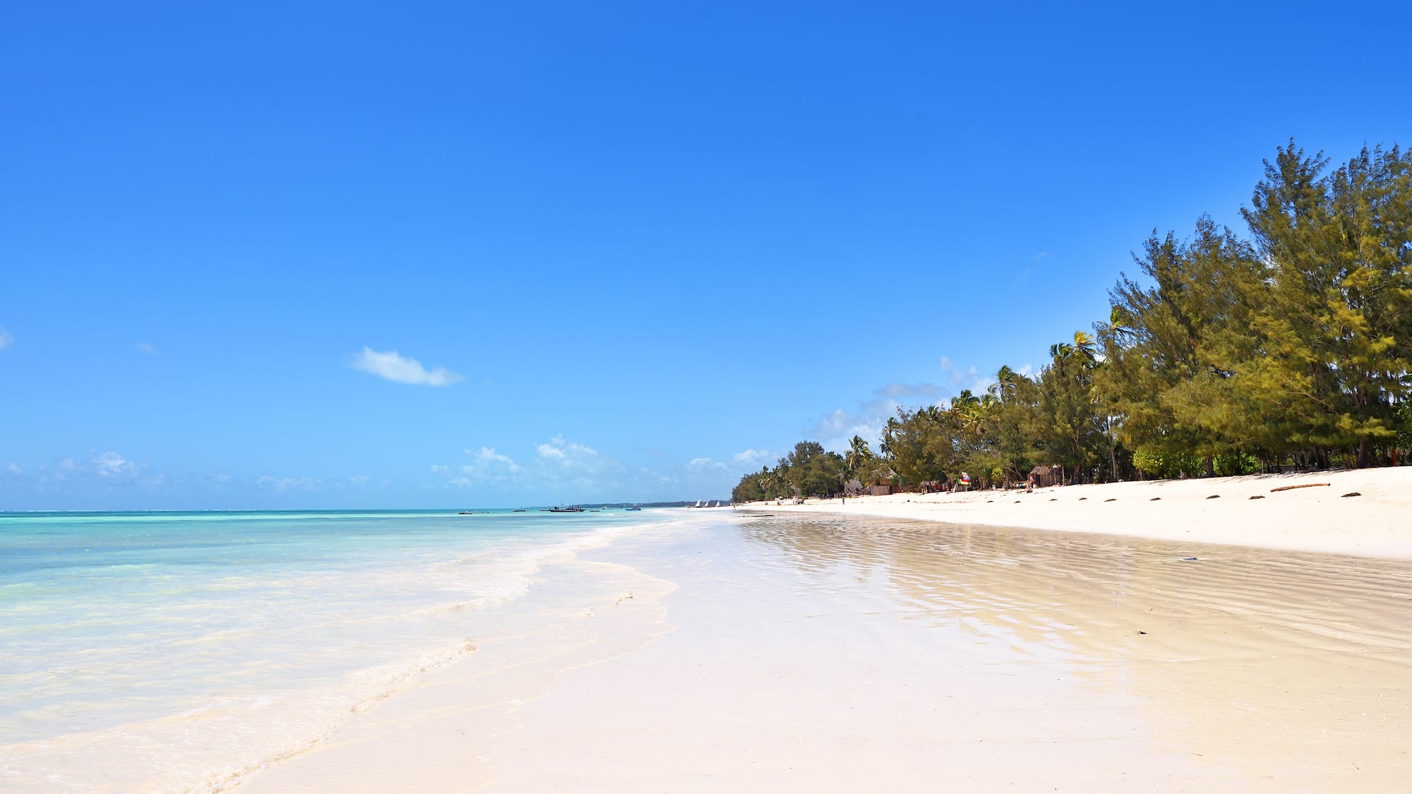 White sand beach with turquoise ocean, blue sky, and tropical trees.