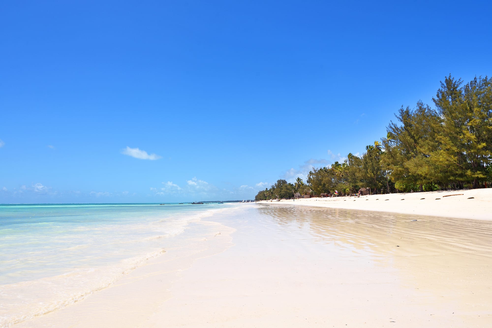 White sand beach with turquoise ocean, blue sky, and tropical trees.