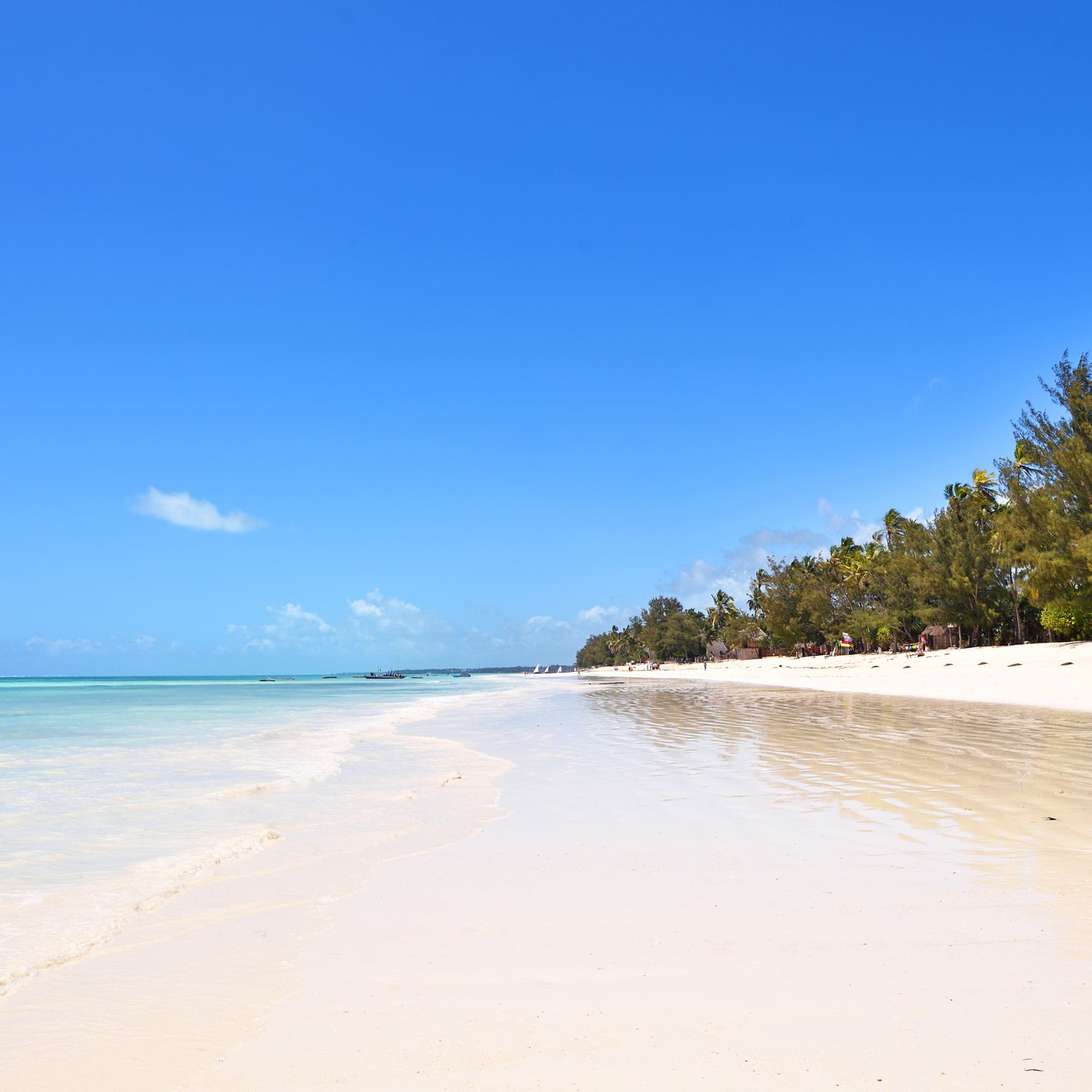 White sand beach with turquoise ocean, blue sky, and tropical trees.