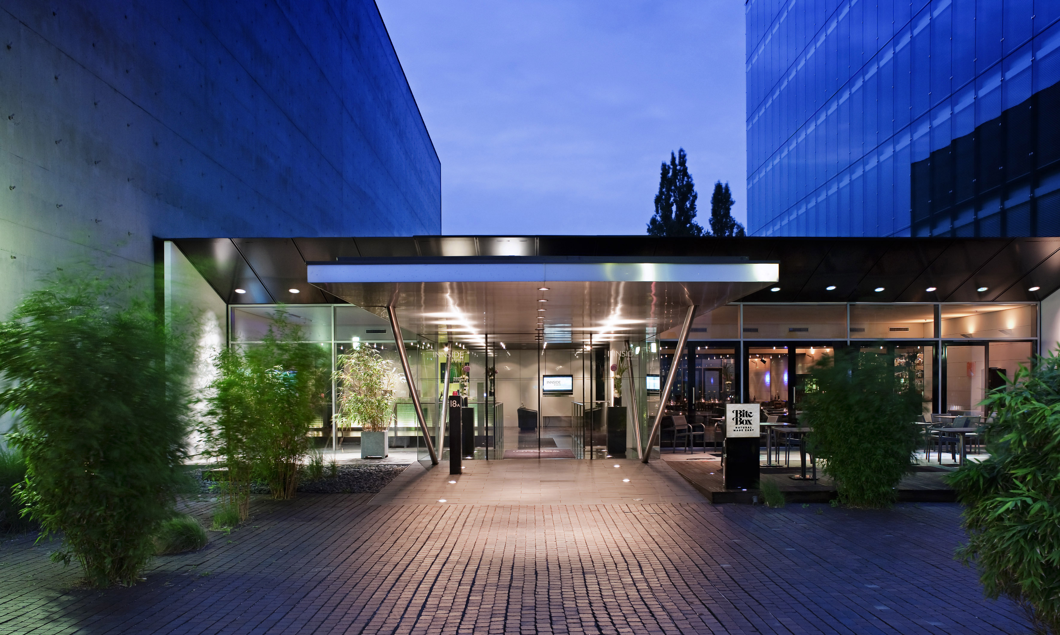 Illuminated modern hotel entrance, glass facade, bamboo plants at dusk.