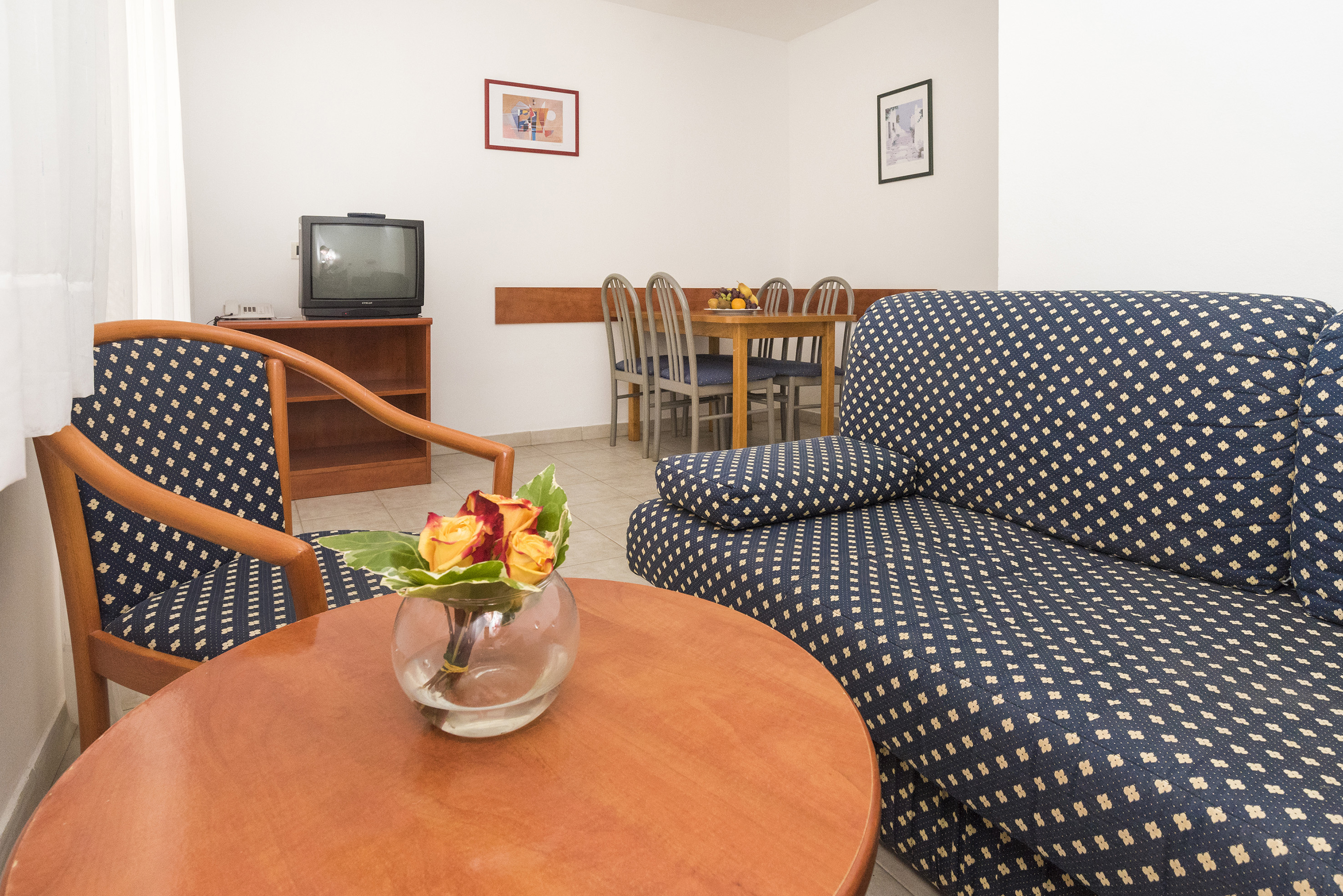 a room with a couch and a television