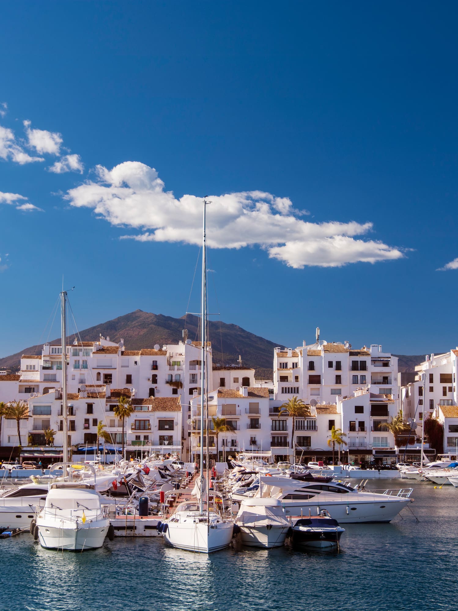 a group of boats in a harbor