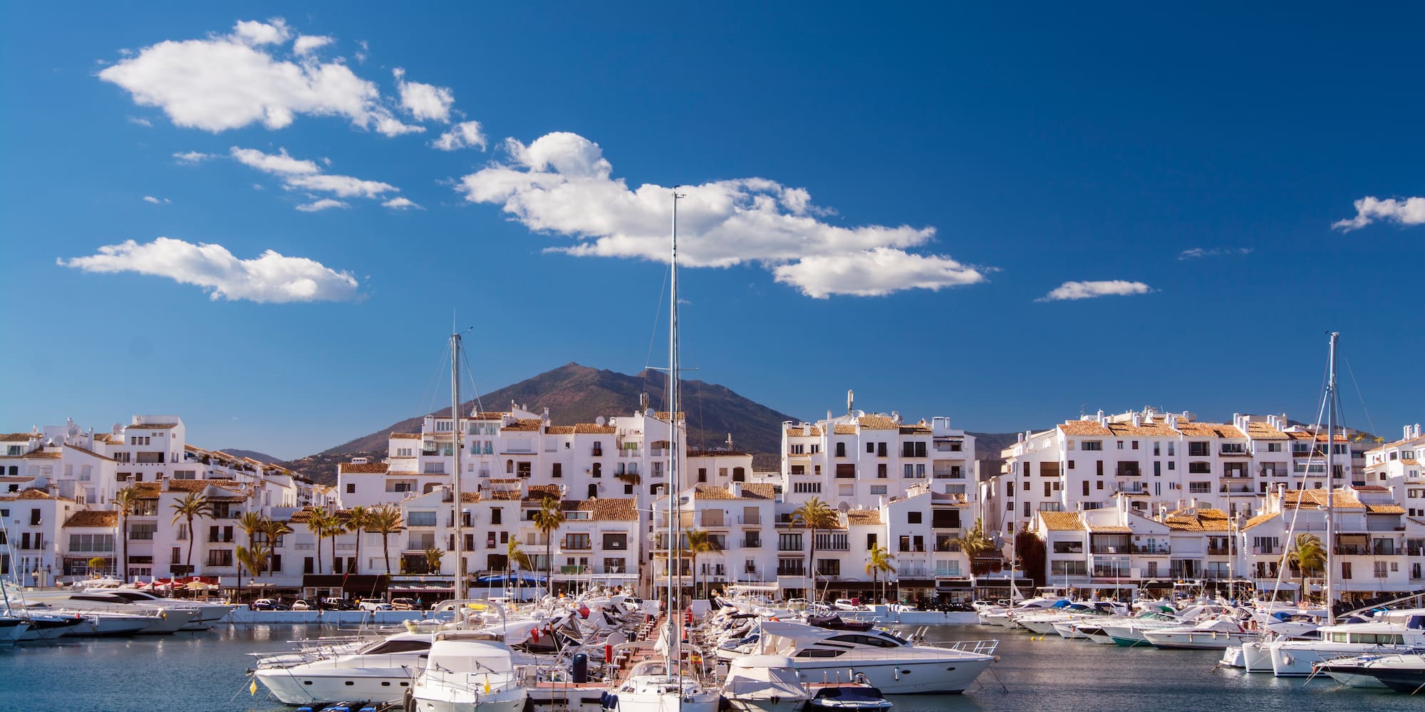 a group of boats in a harbor