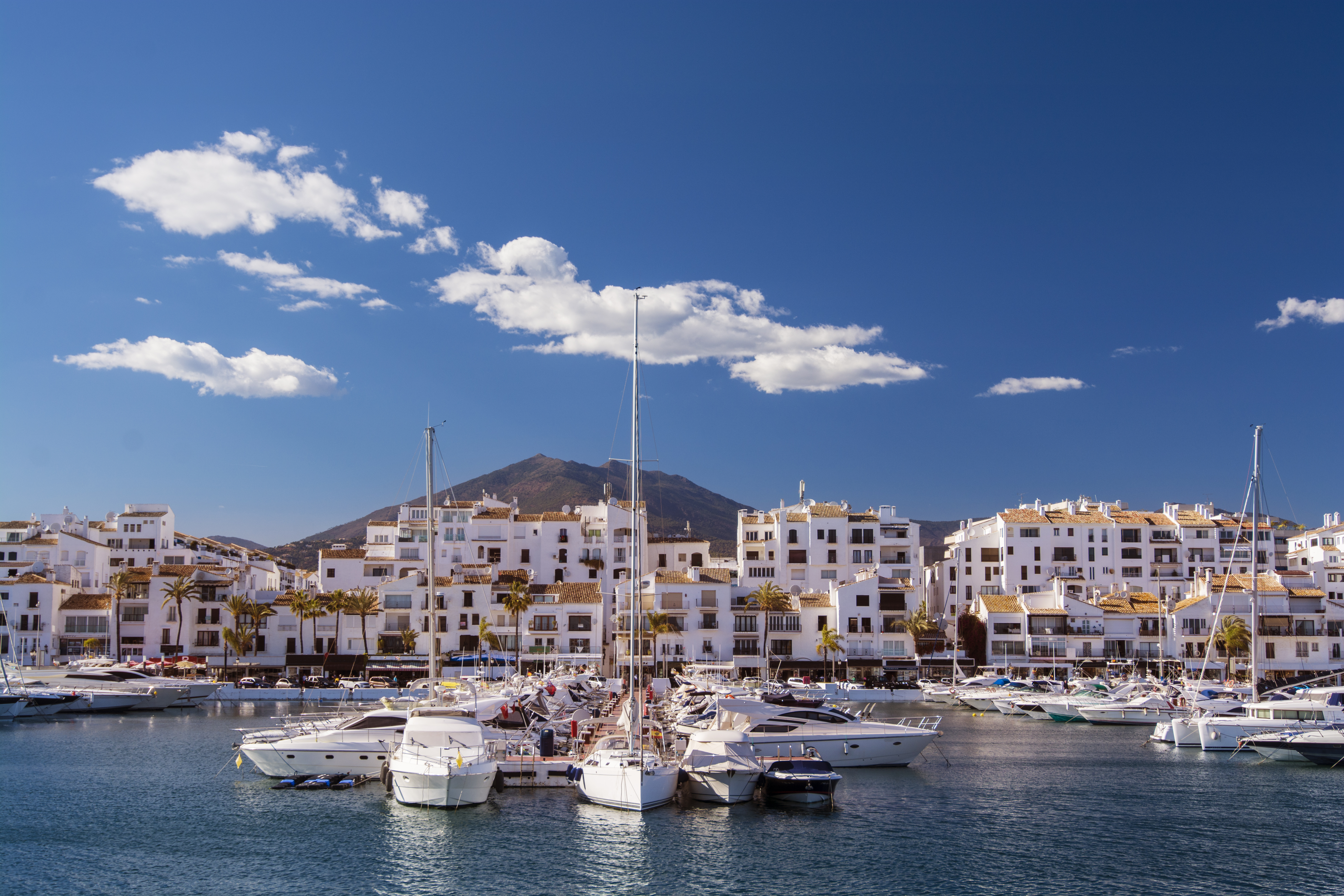 a group of boats in a harbor
