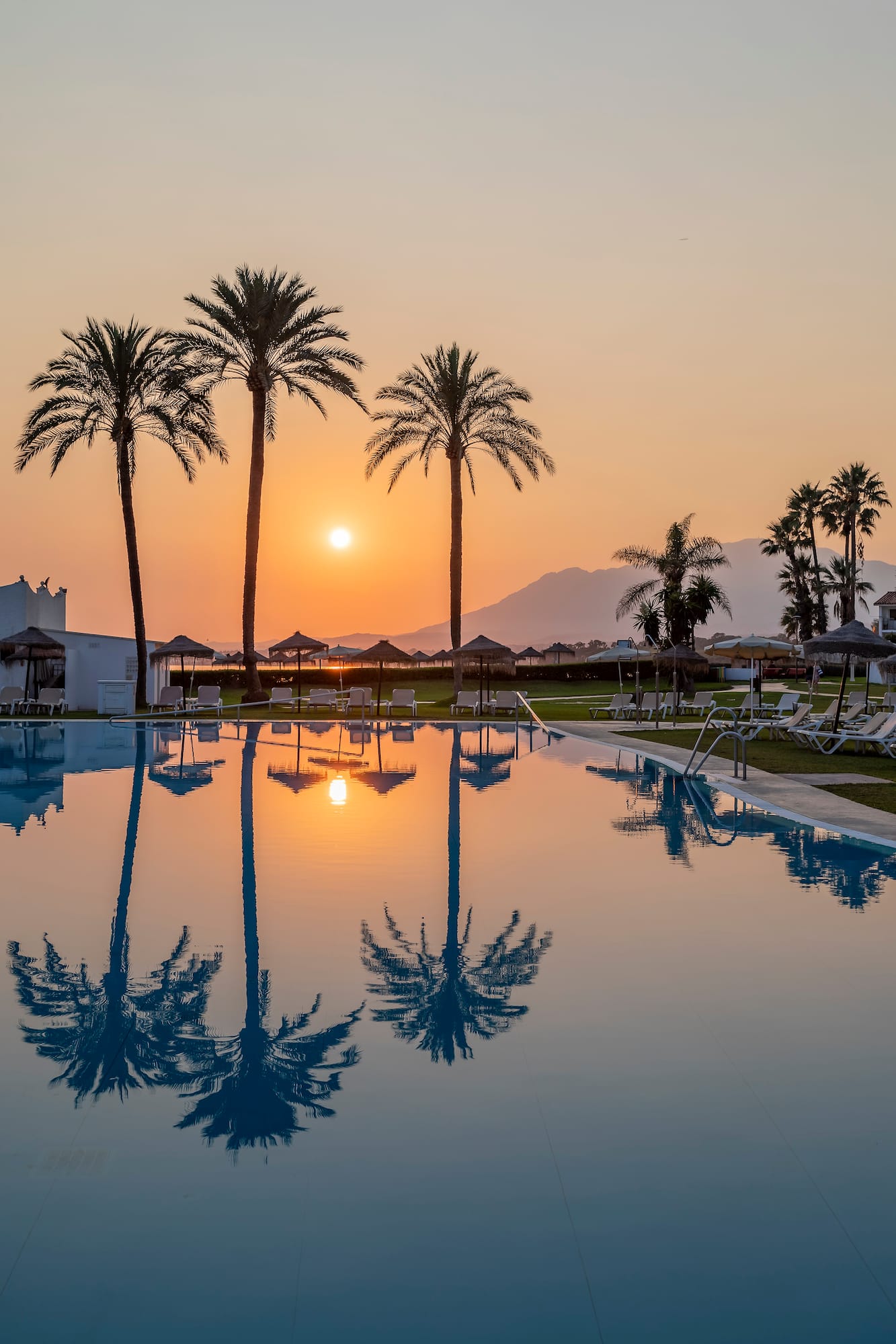 a pool with palm trees and a sunset