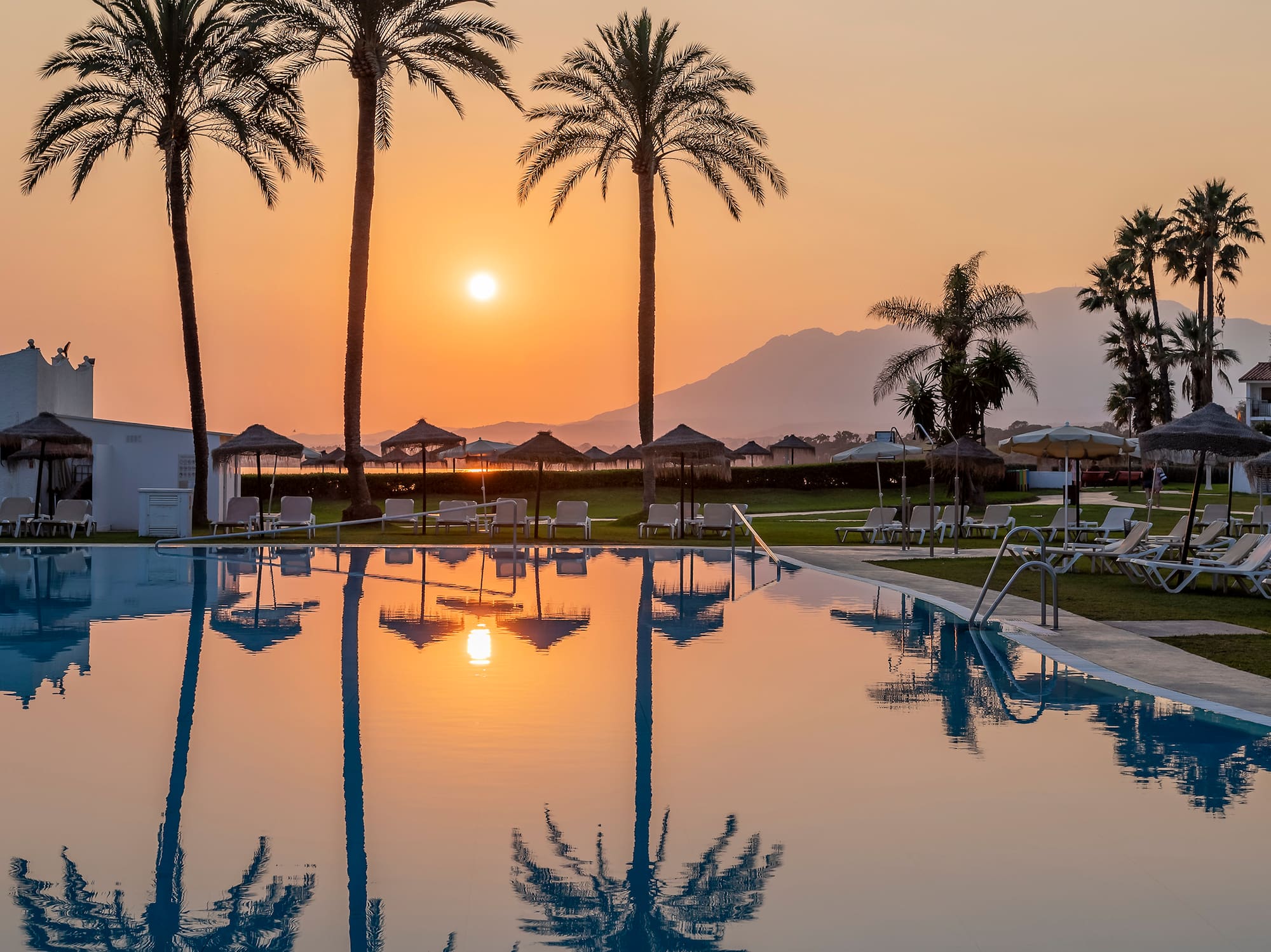 a pool with palm trees and a sunset
