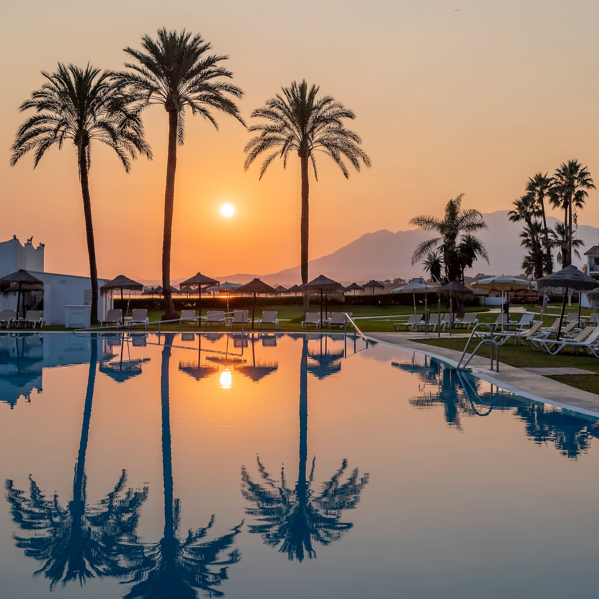 a pool with palm trees and a sunset