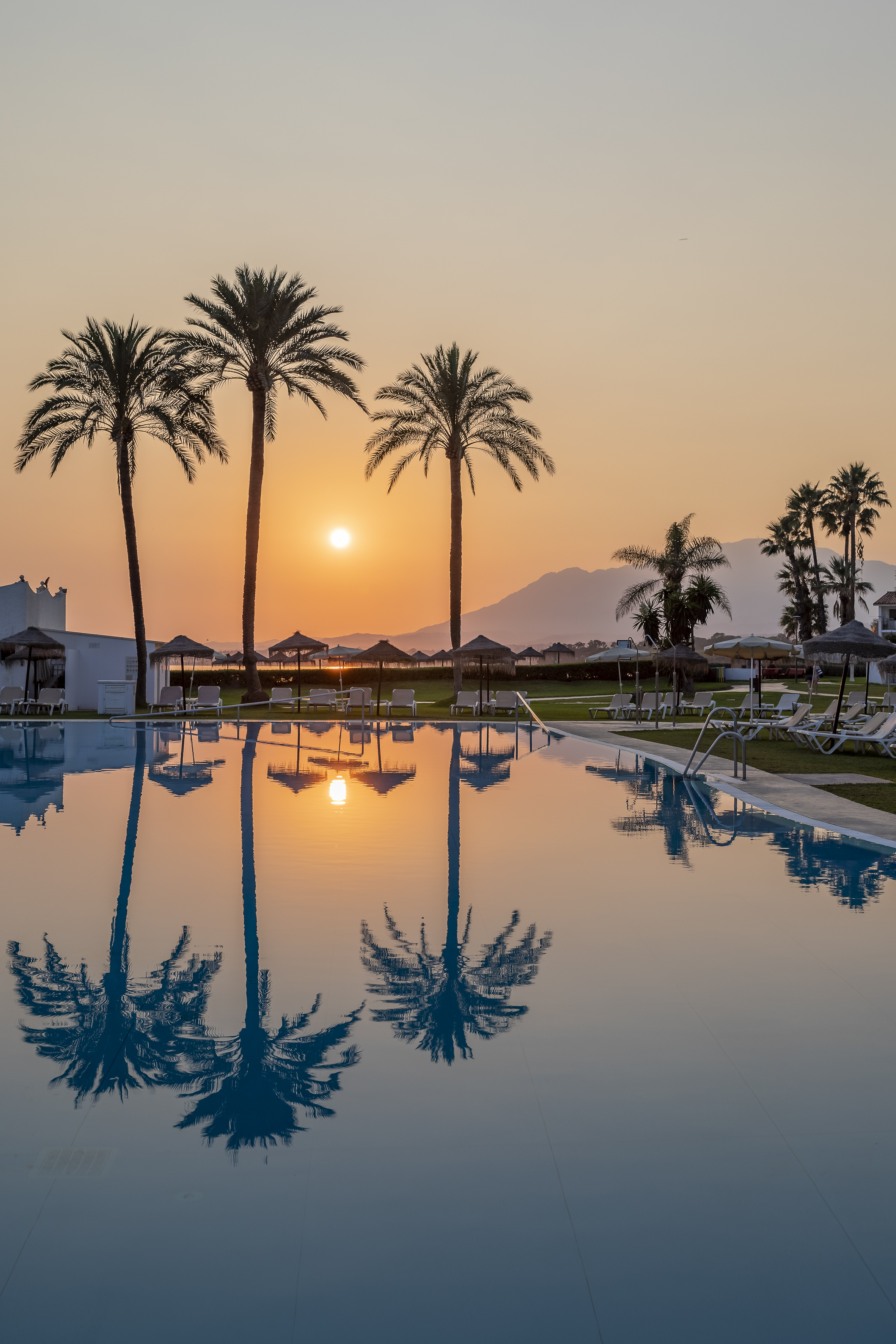 Palm trees reflecting in resort pool at golden sunset, distant mountains.