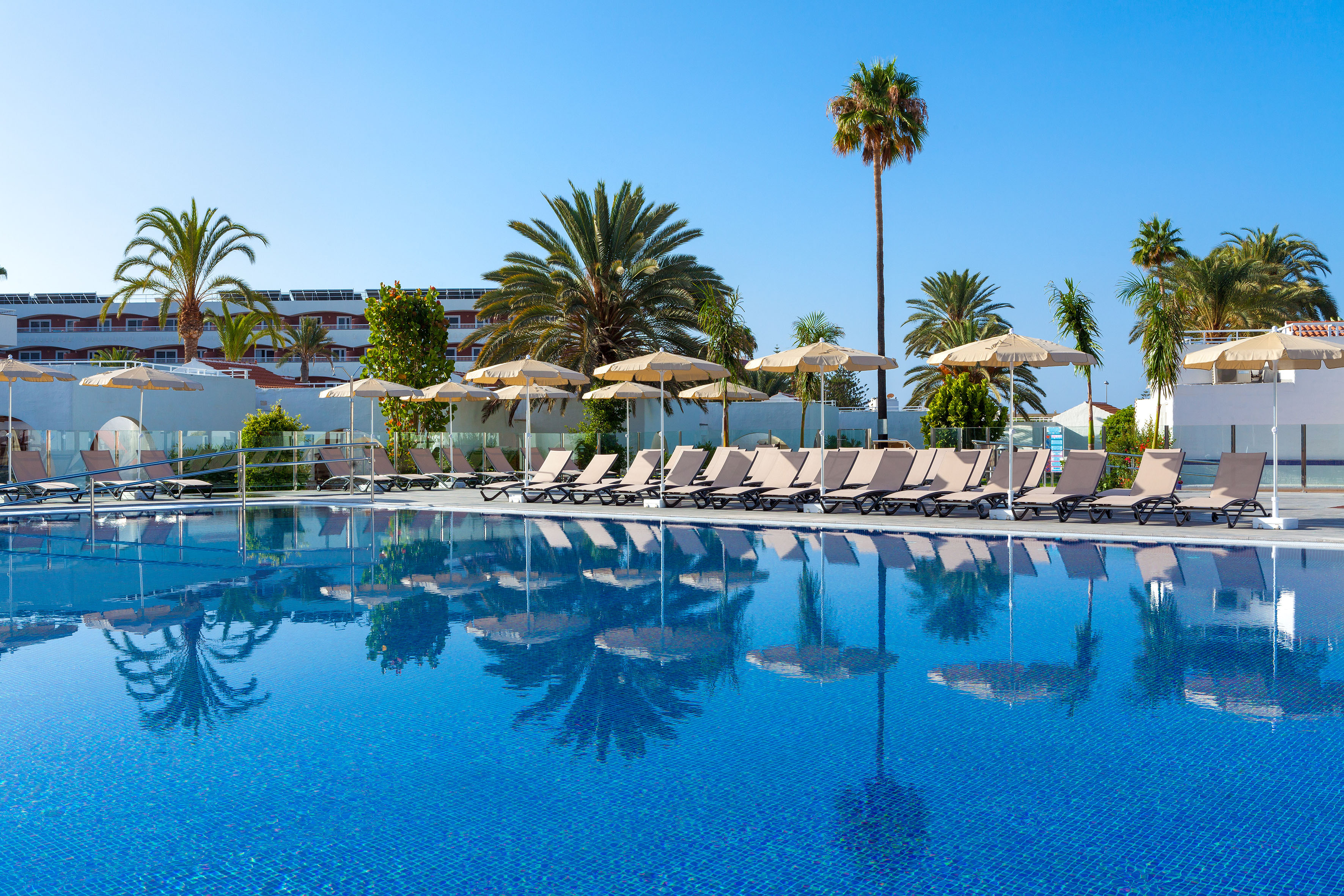 Tropical hotel pool area with sunbeds, umbrellas, and palm trees.