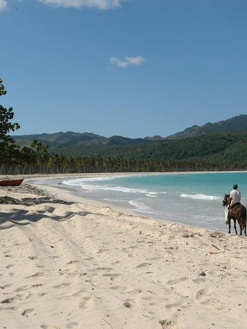 people riding horses on a beach