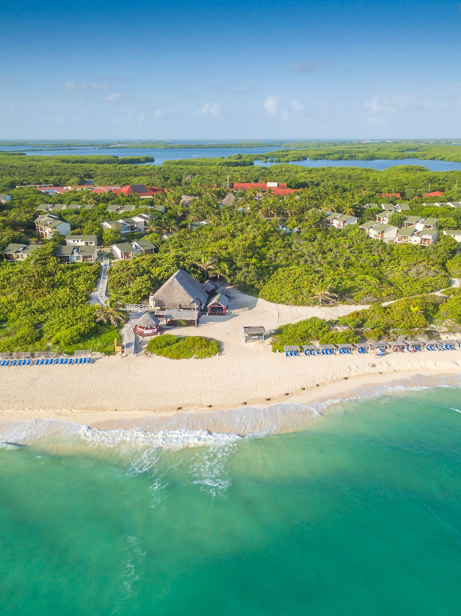 a beach with trees and houses