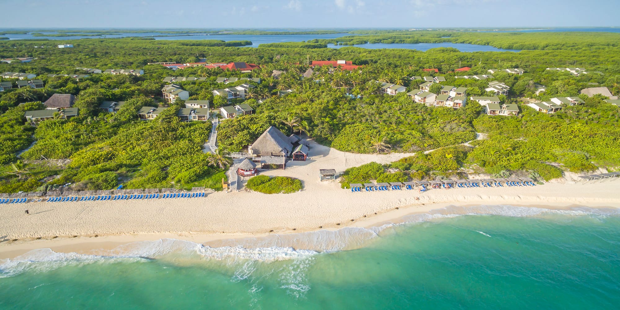 a beach with trees and houses