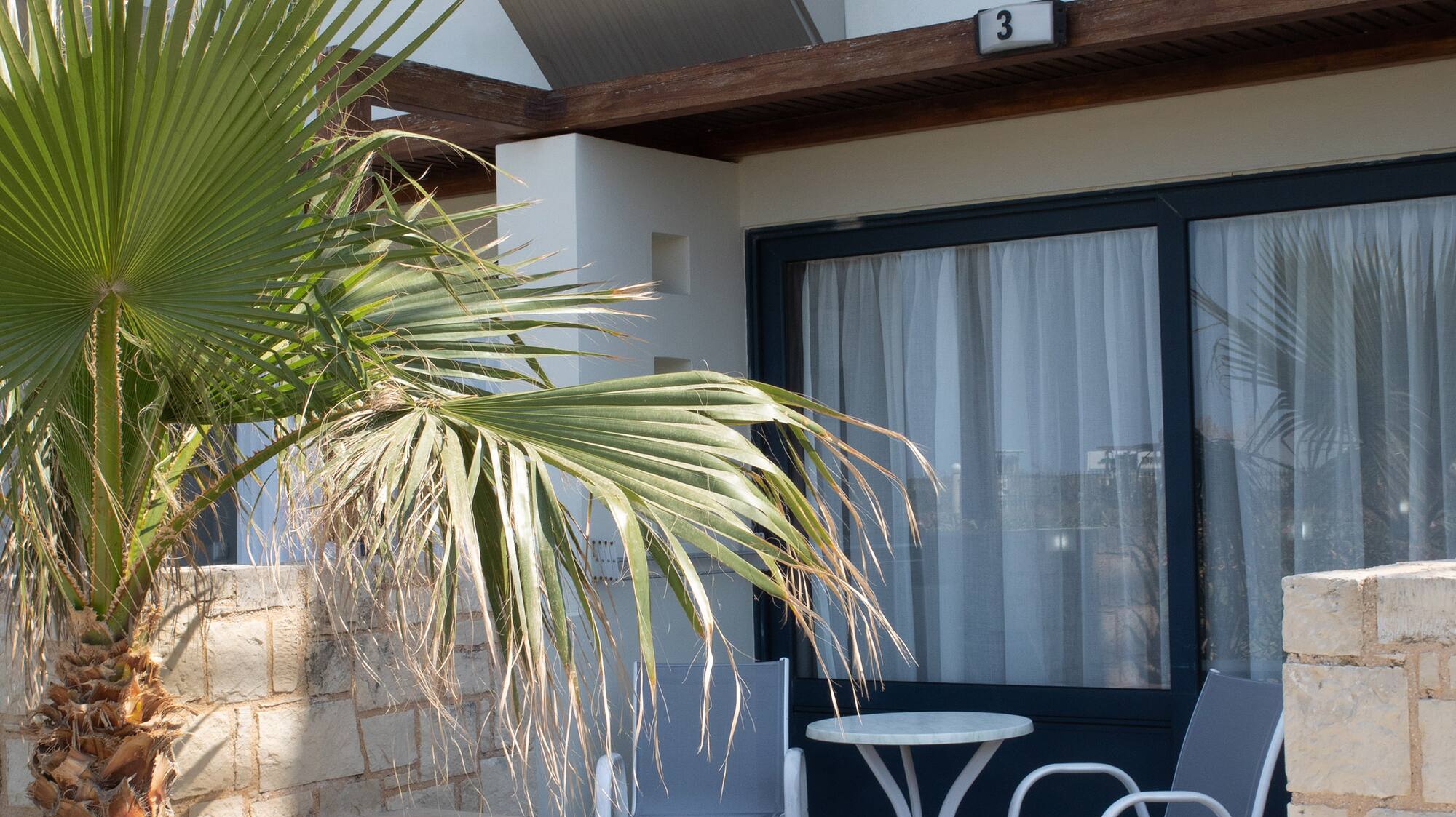 a palm tree outside of a building