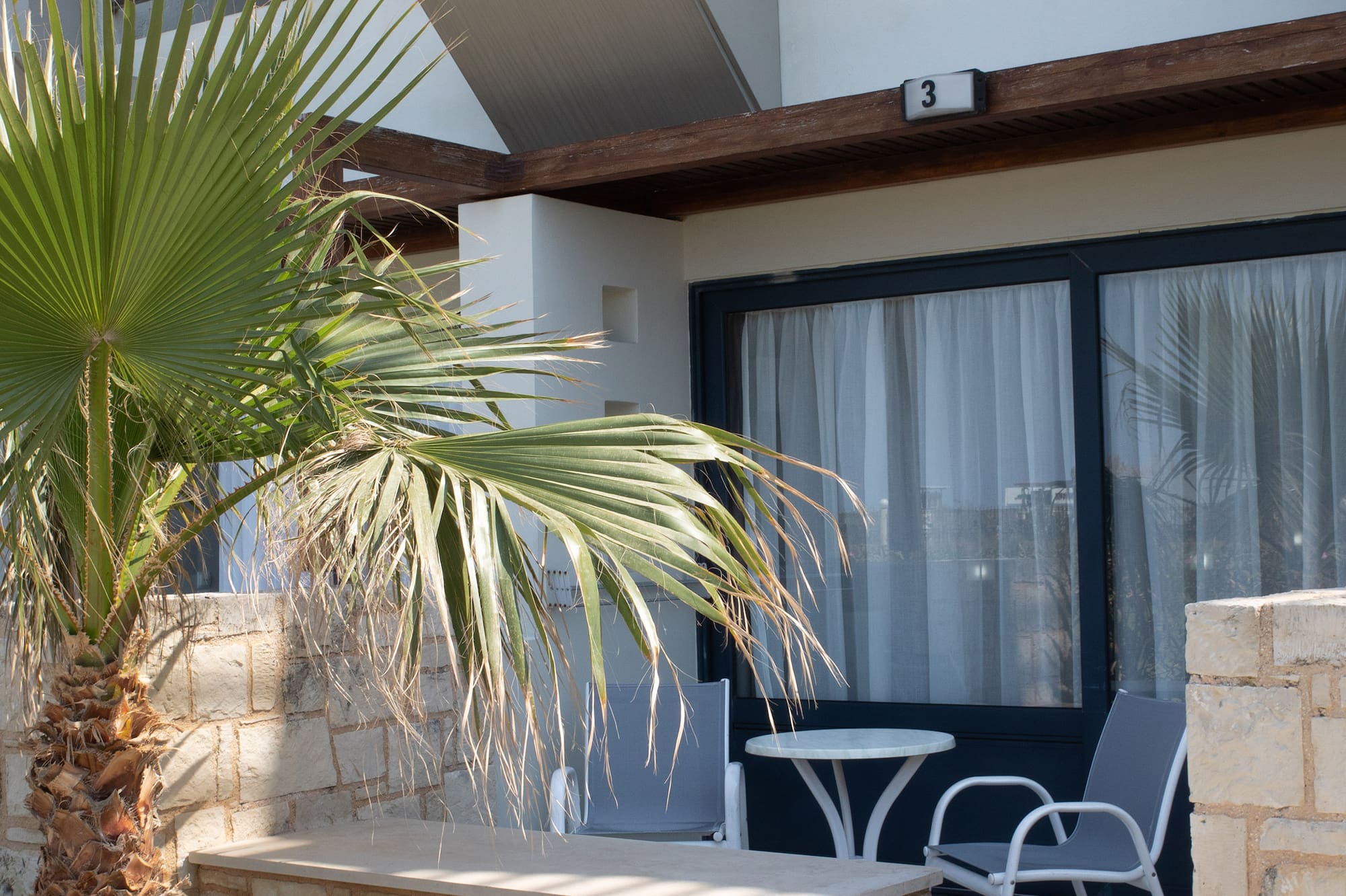 a palm tree outside of a building