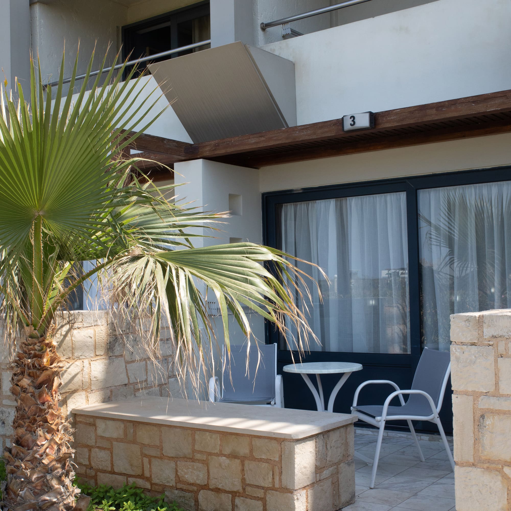 a palm tree outside of a building