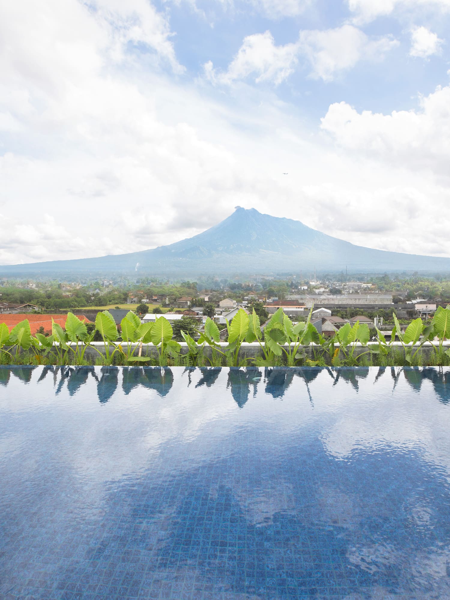 a pool with plants on it and a mountain in the background