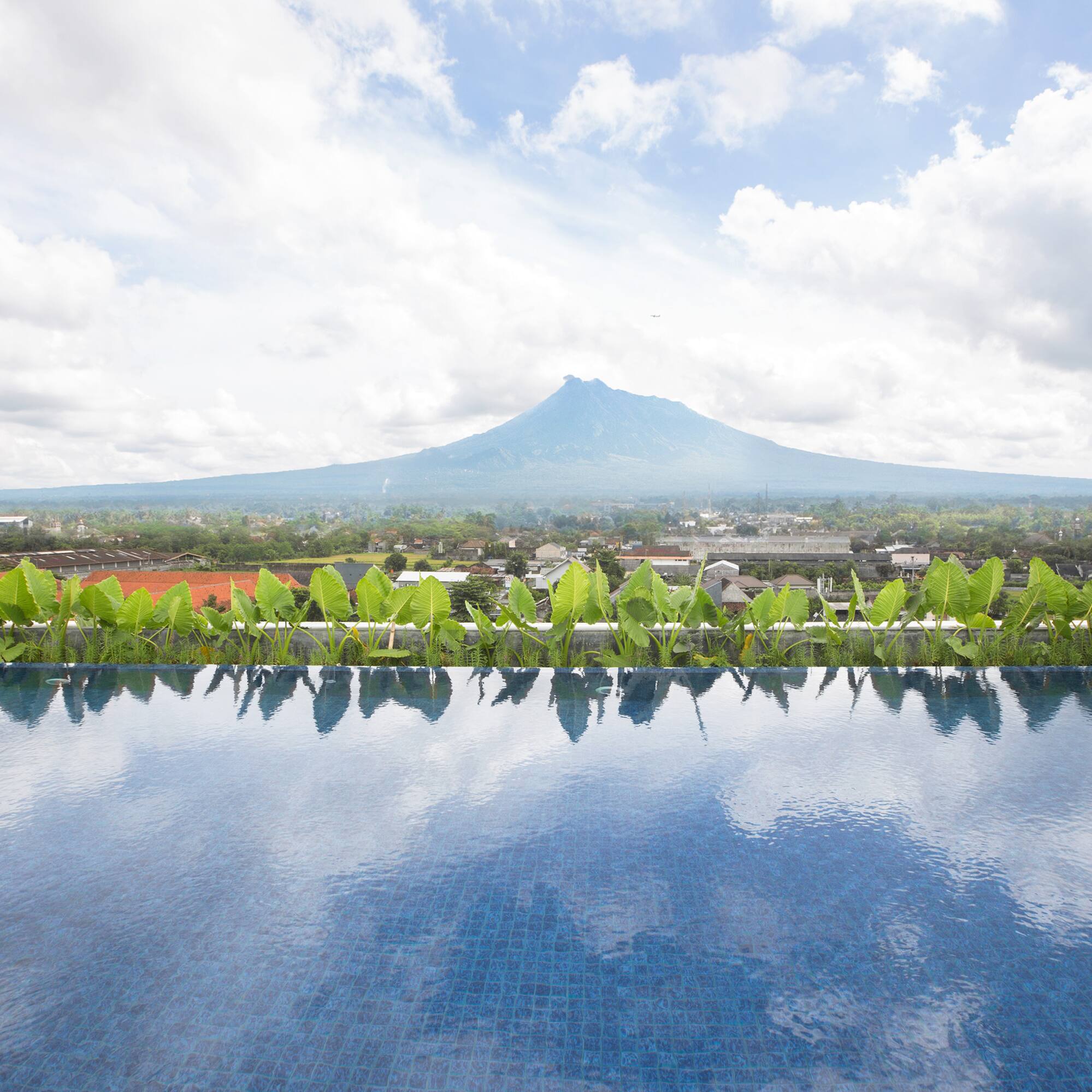 a pool with plants on it and a mountain in the background
