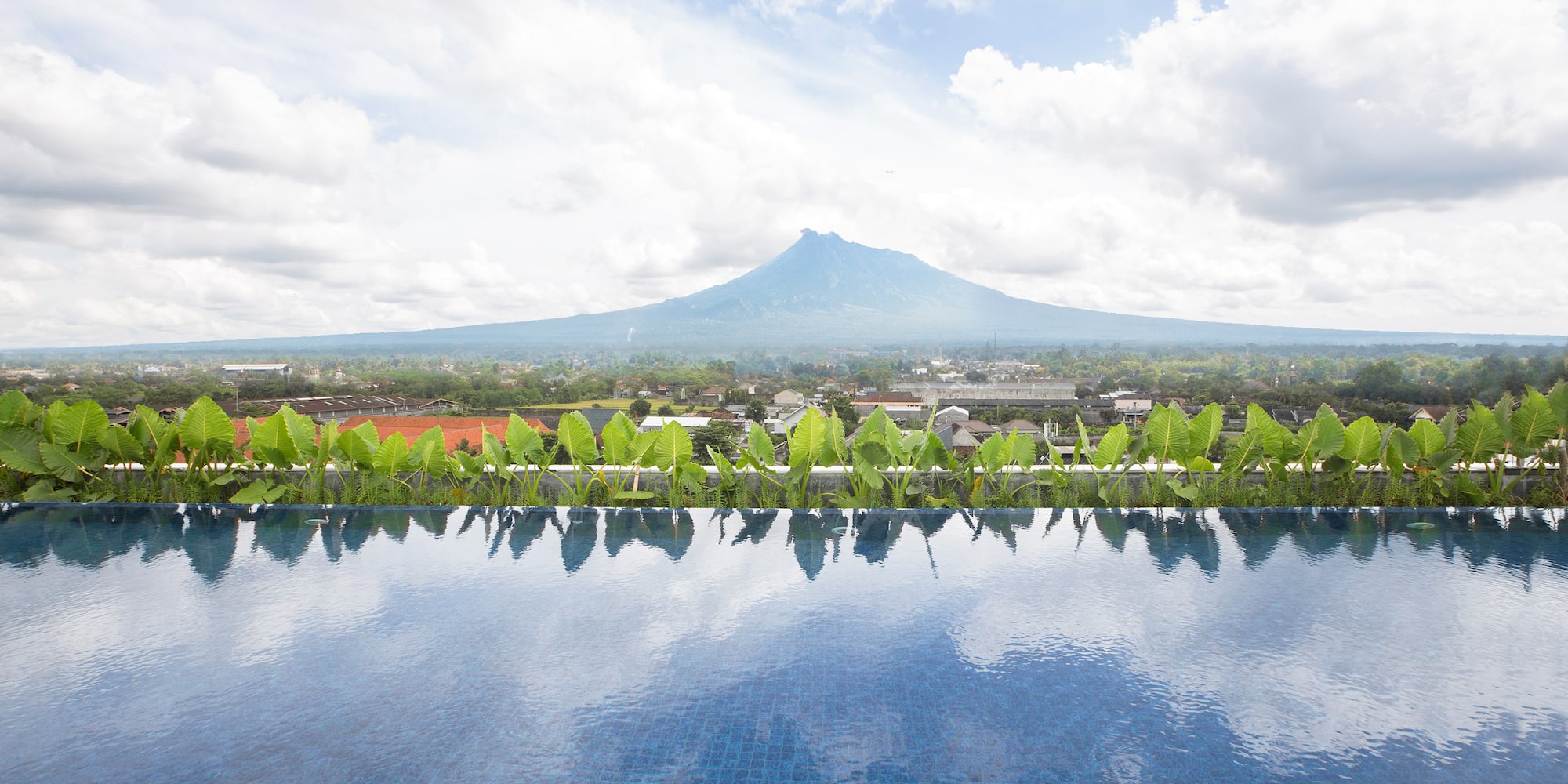 a pool with plants on it and a mountain in the background