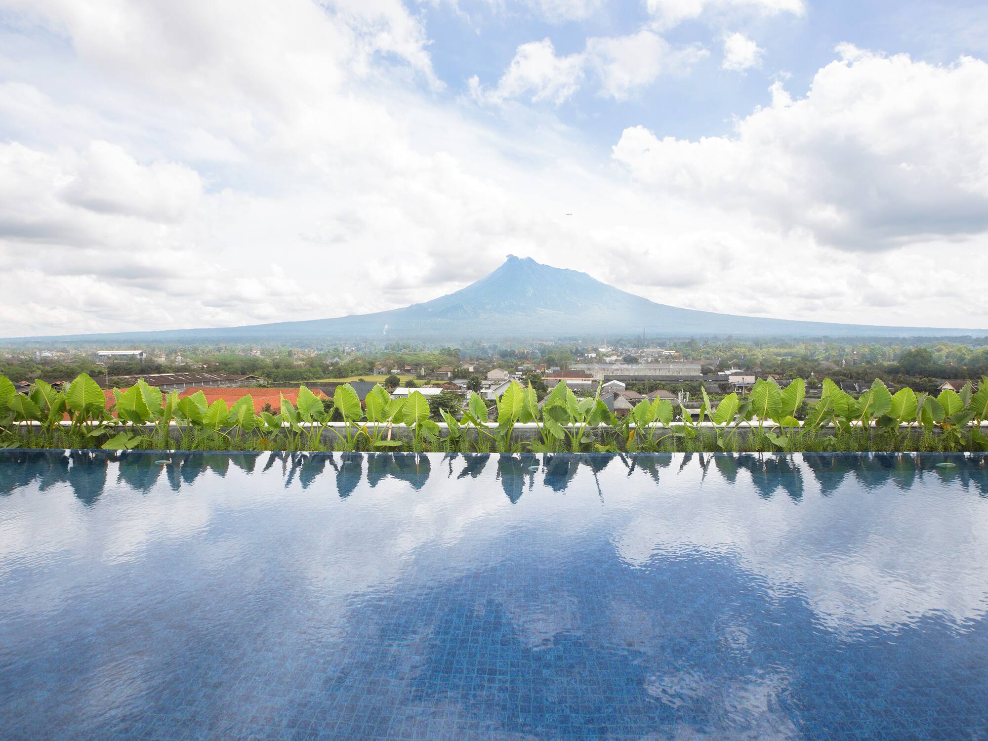 a pool with plants on it and a mountain in the background