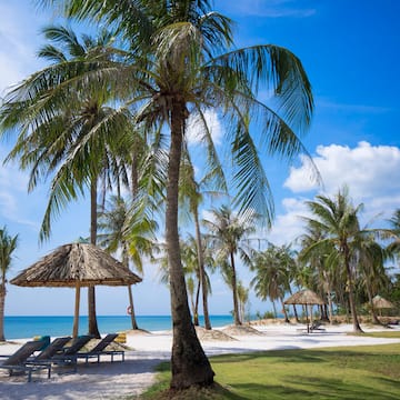 a beach with palm trees and chairs