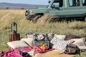 a picnic blanket and picnic basket in a field