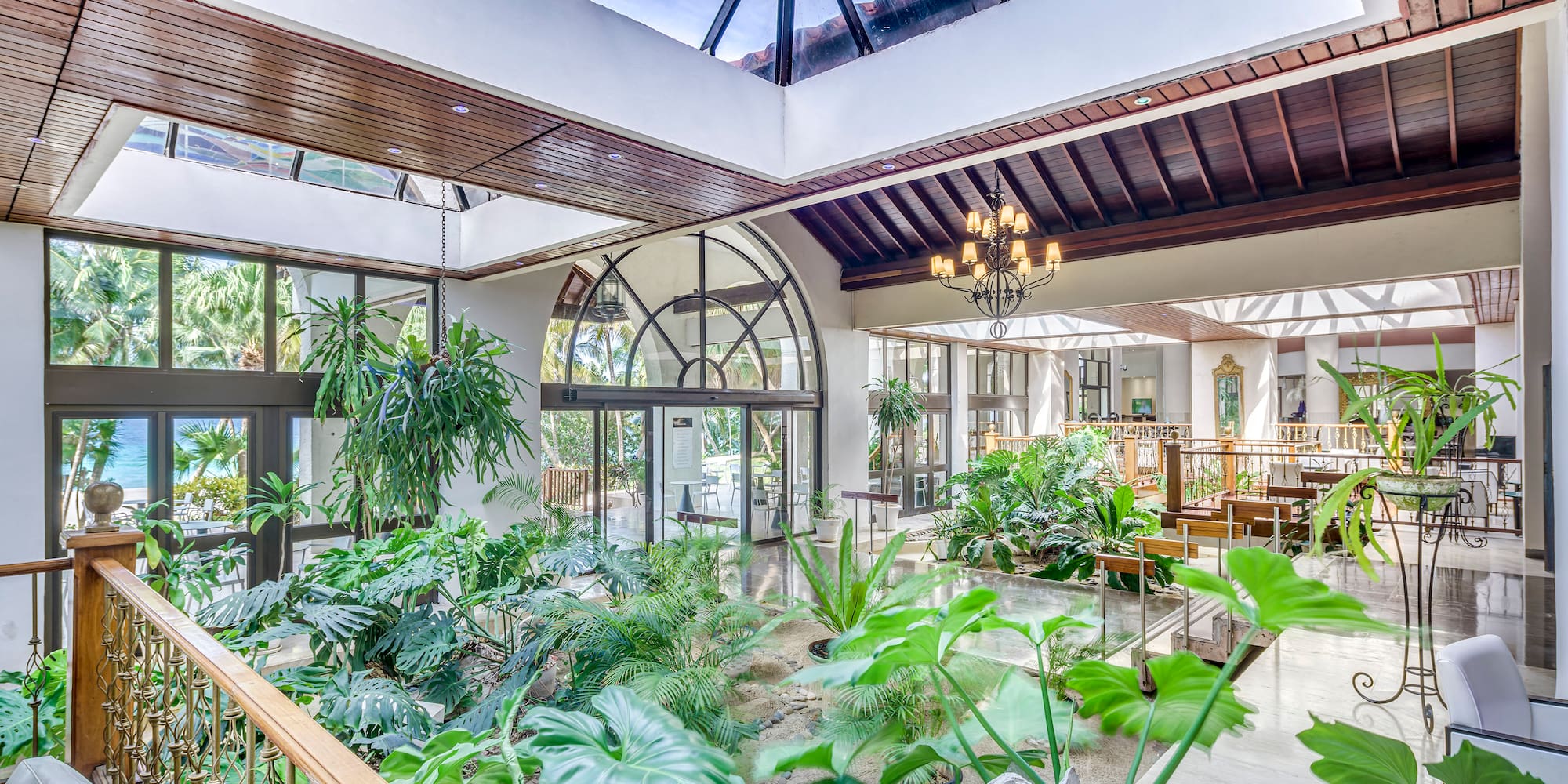 a room with a glass roof and plants