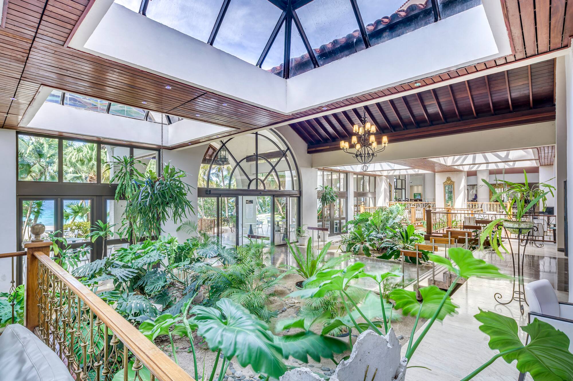 a room with a glass roof and plants