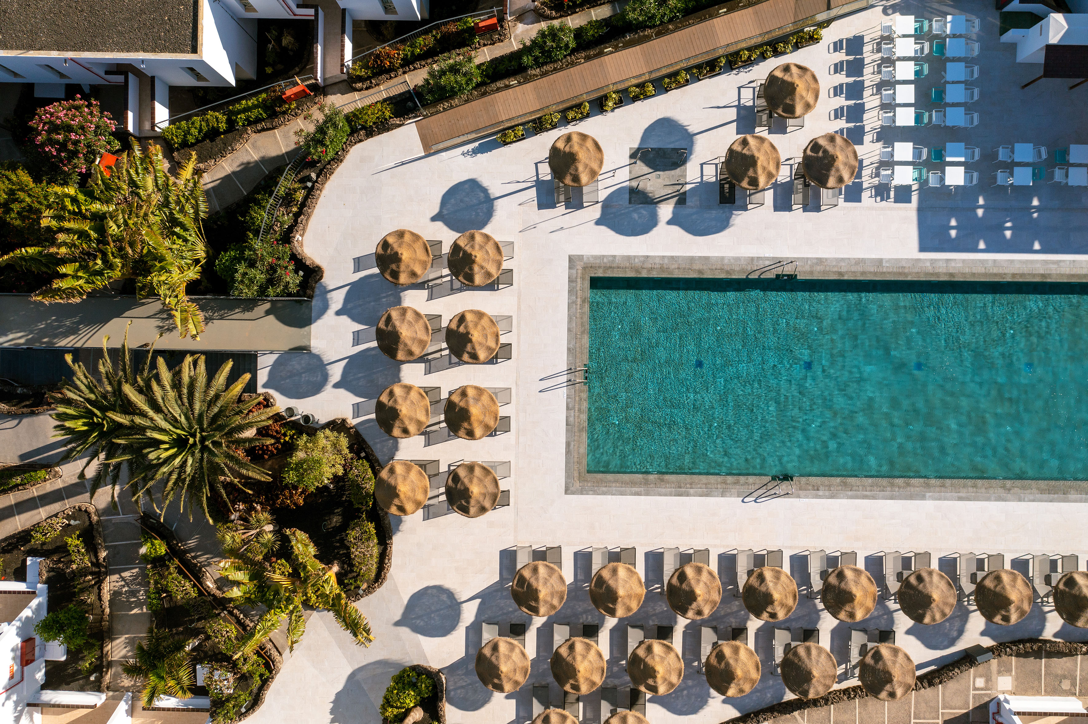 Aerial view: Resort swimming pool, straw parasols, sun loungers, palm trees.
