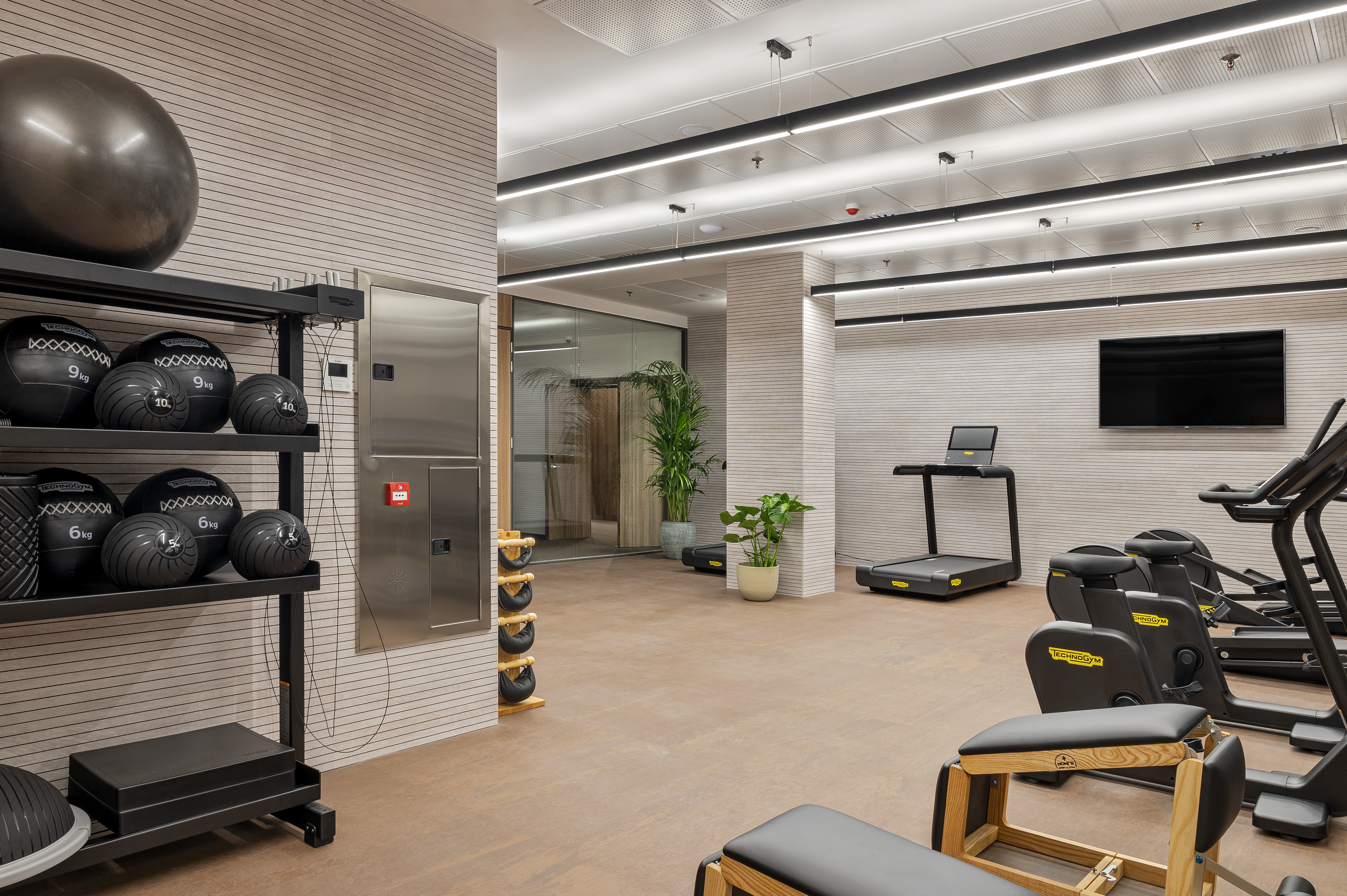 Modern gym with Technogym exercise equipment, medicine balls, and treadmills.
