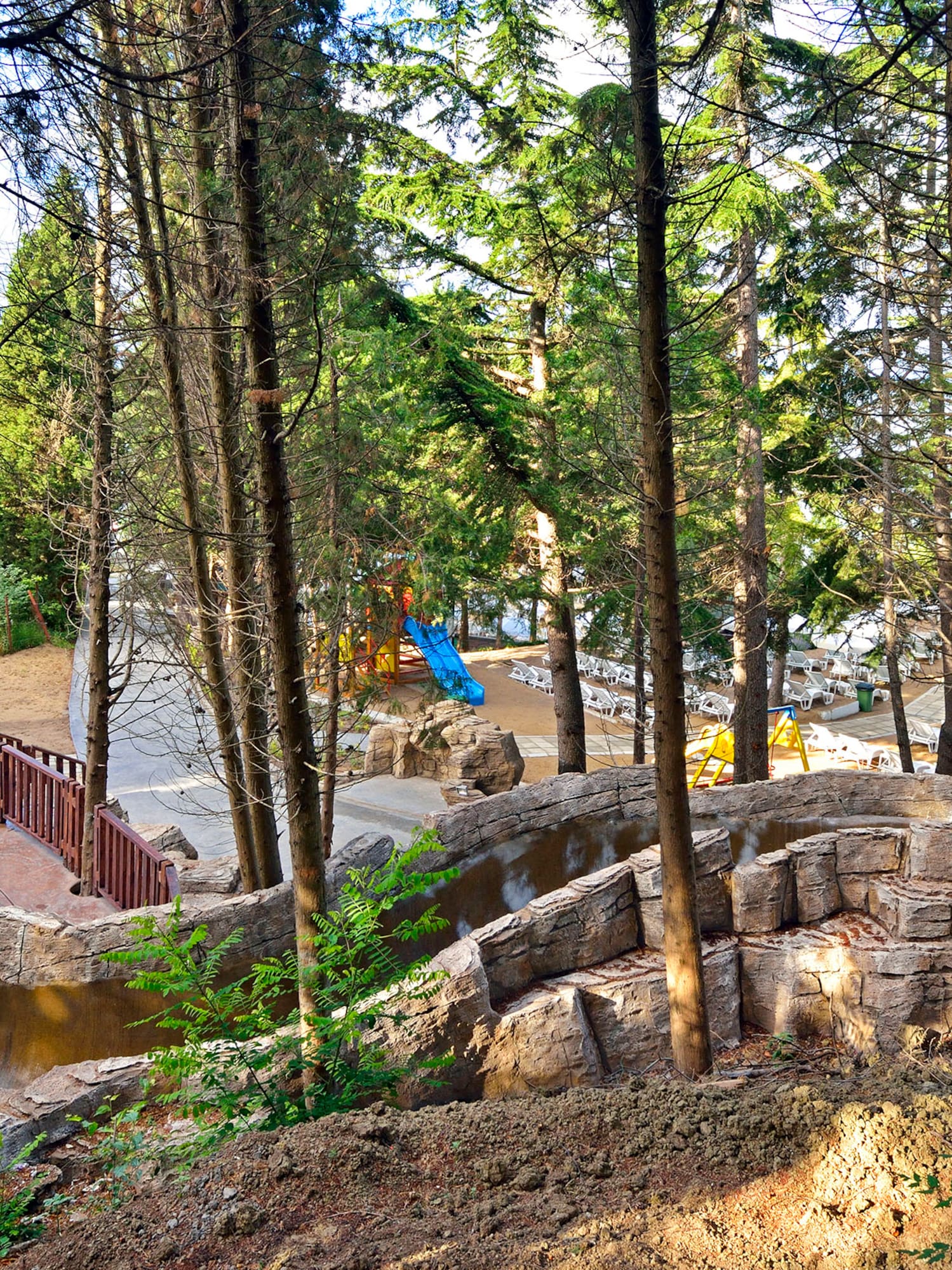 a pool with a slide and trees