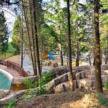 a pool with a slide and trees