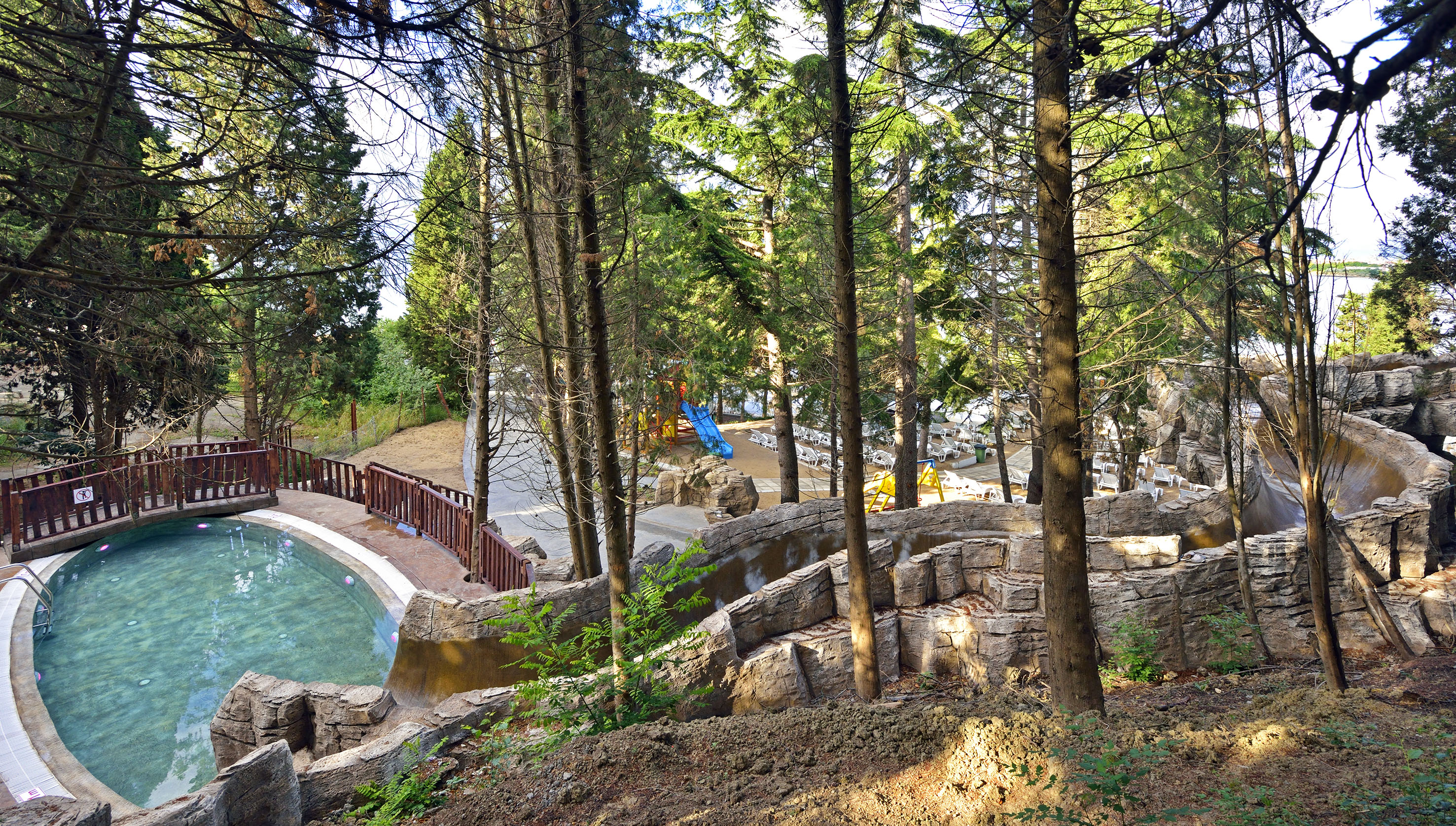 a pool with a slide and trees