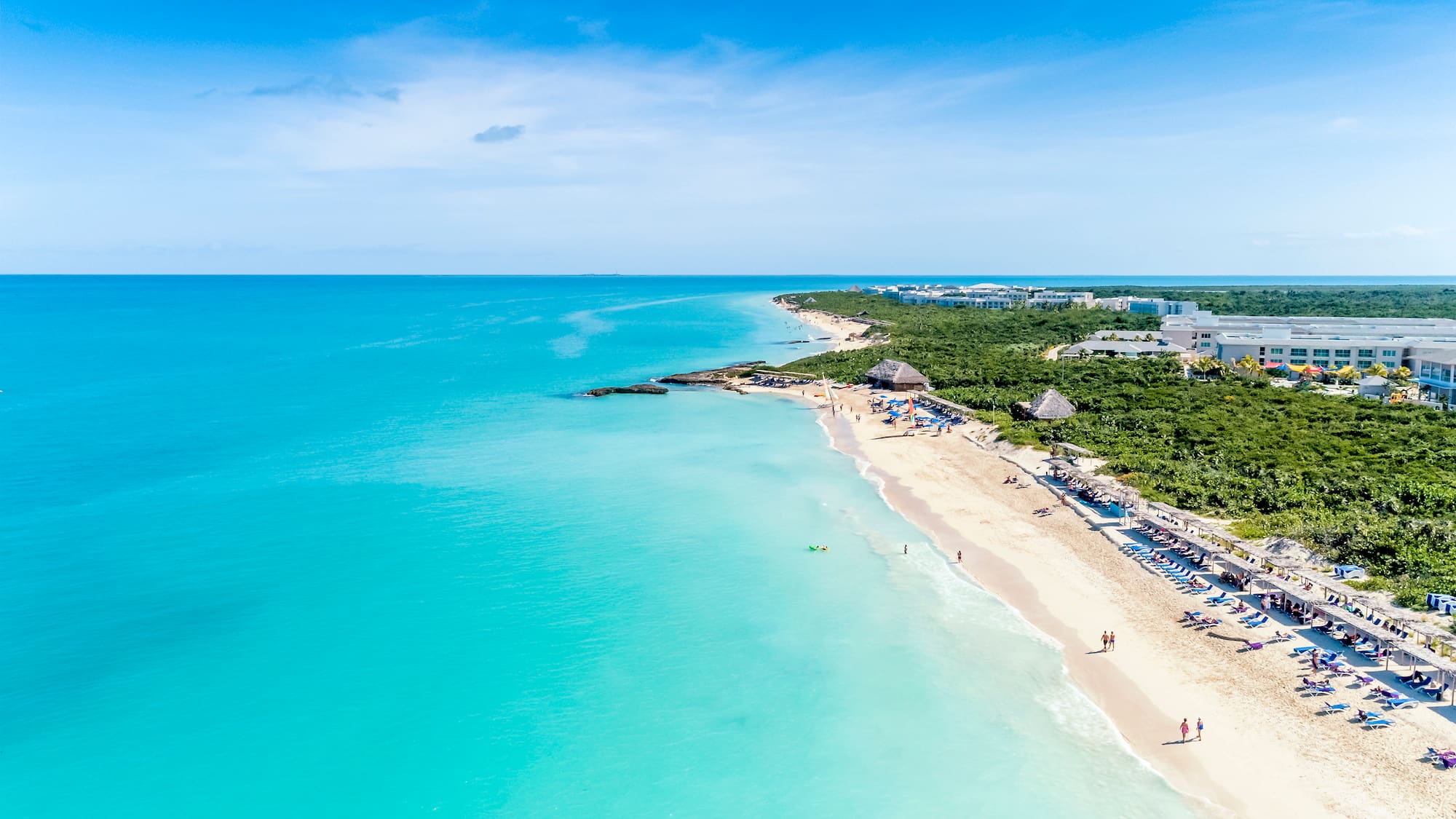 a beach with people on it
