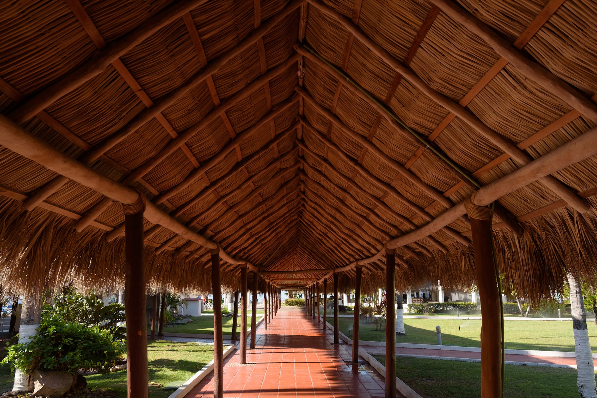 a walkway with a thatched roof