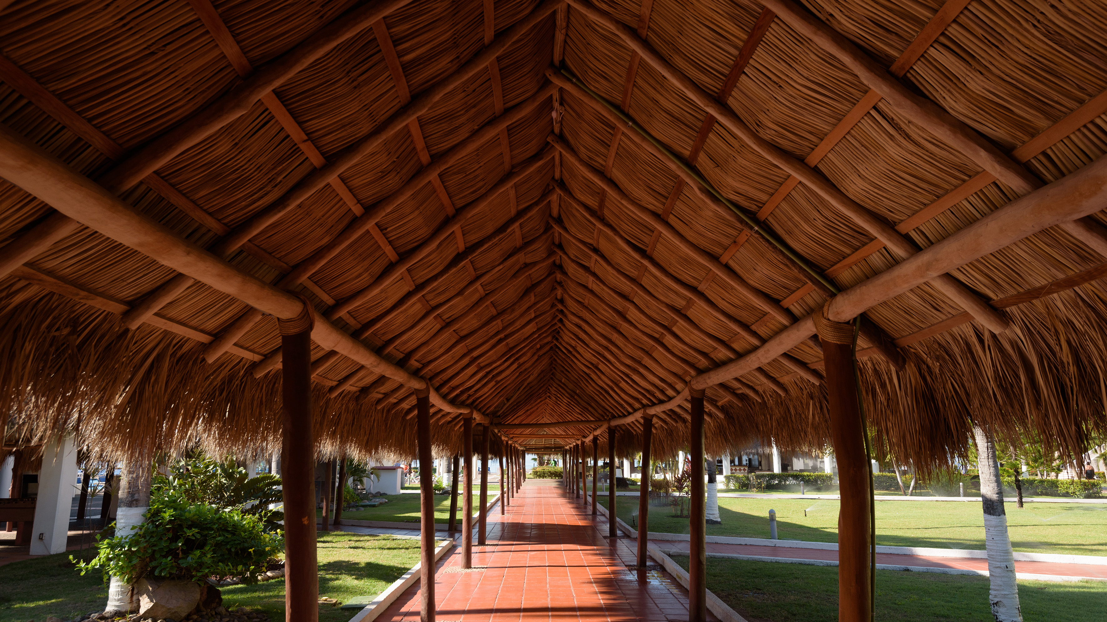 Thatched roof walkway leading through tropical resort grounds.