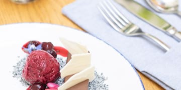 a plate of dessert with ice cream and berries