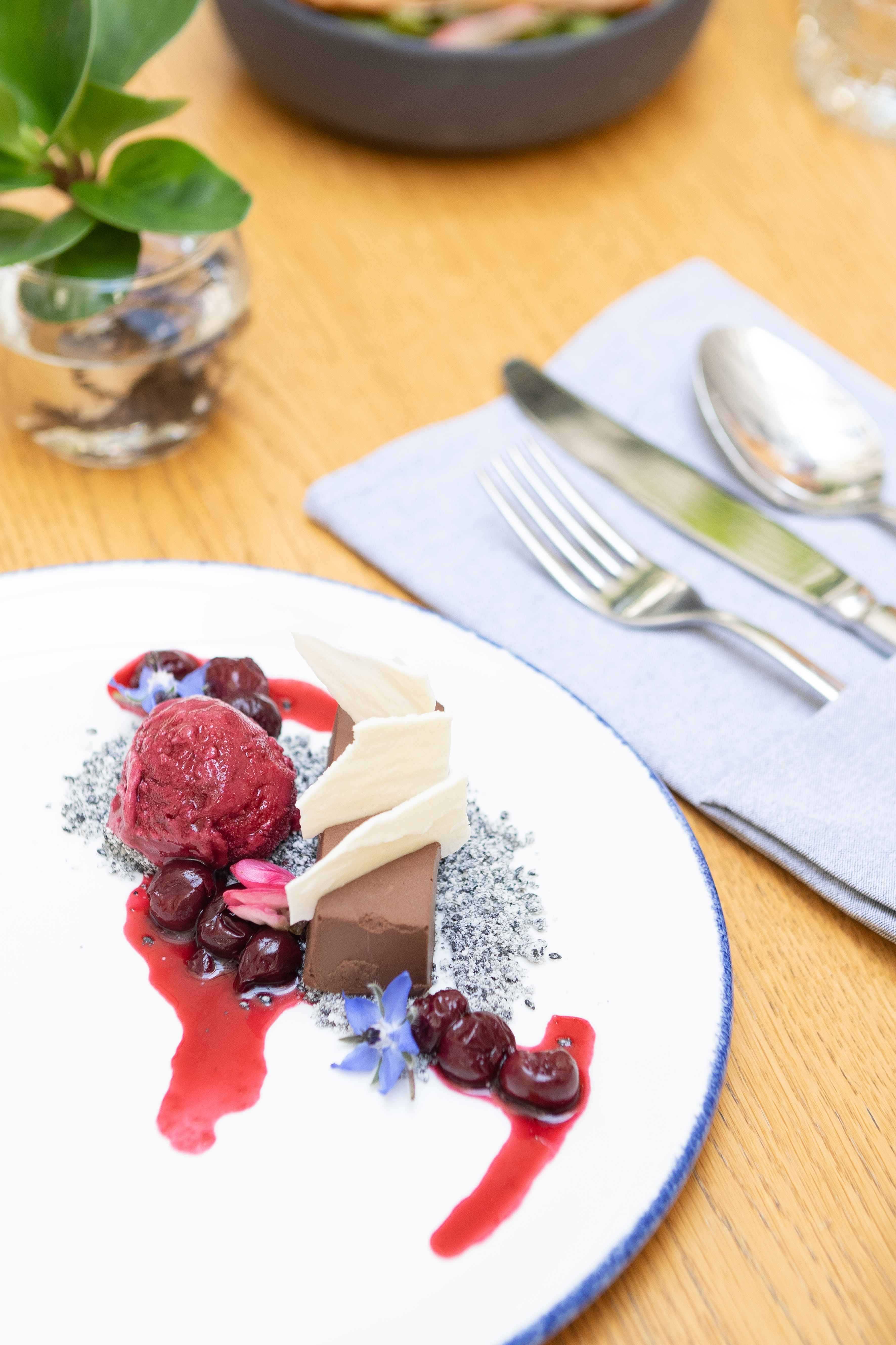 Plated chocolate dessert with cherry sorbet, white chocolate, and red coulis.